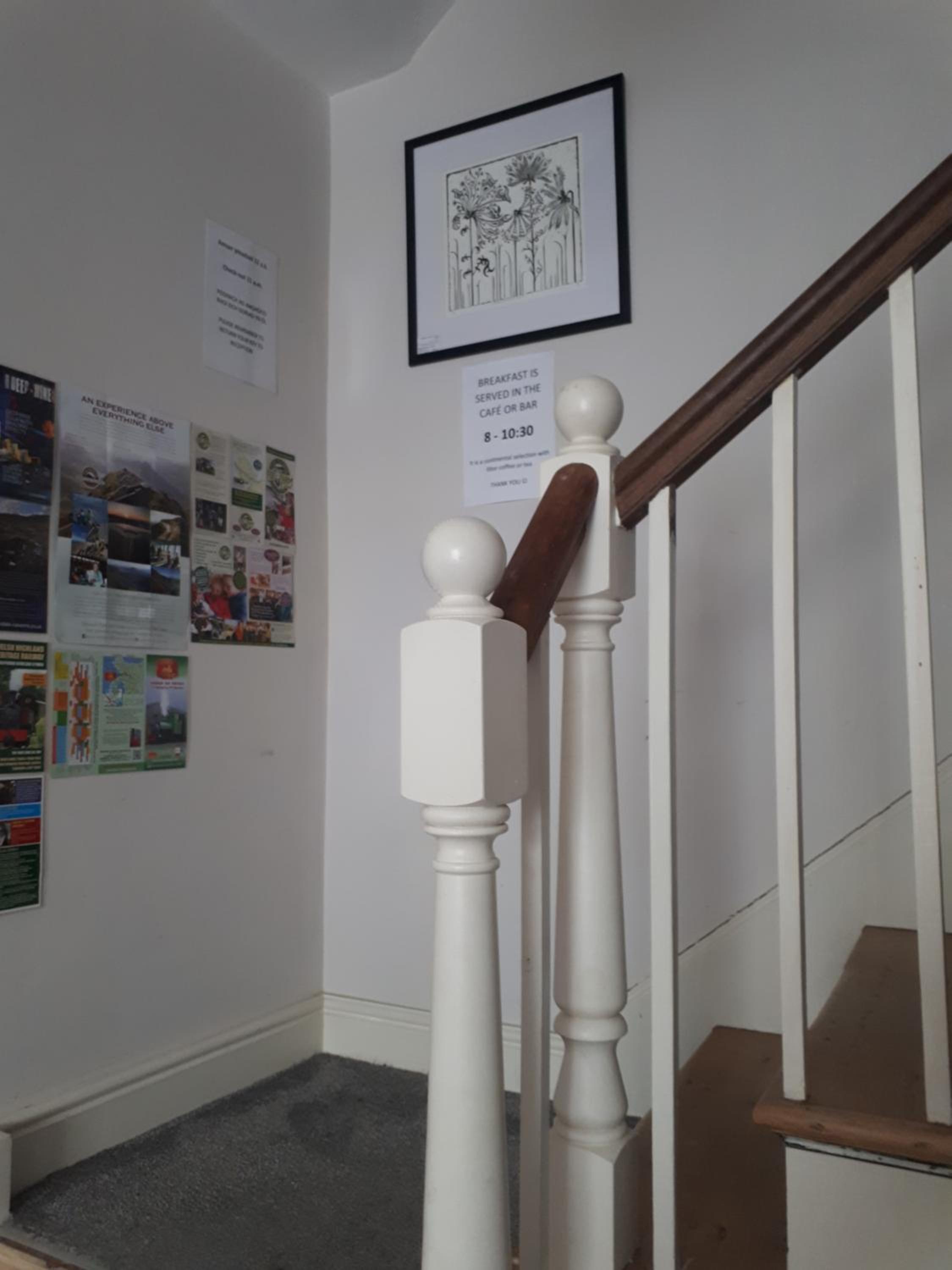 Ty Glyndwr Bunkhouse, Bar and cafe