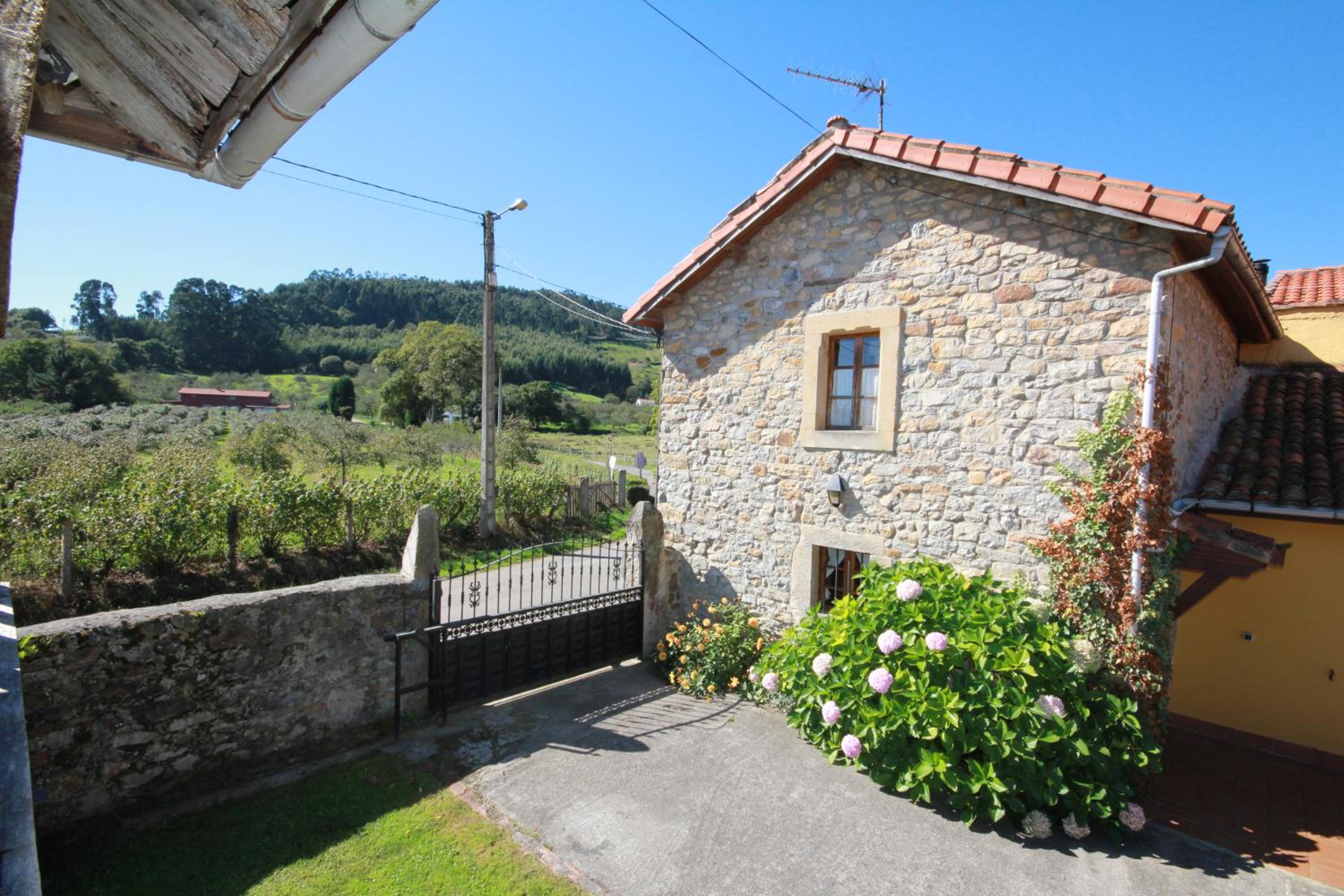La Llosa II photo 2