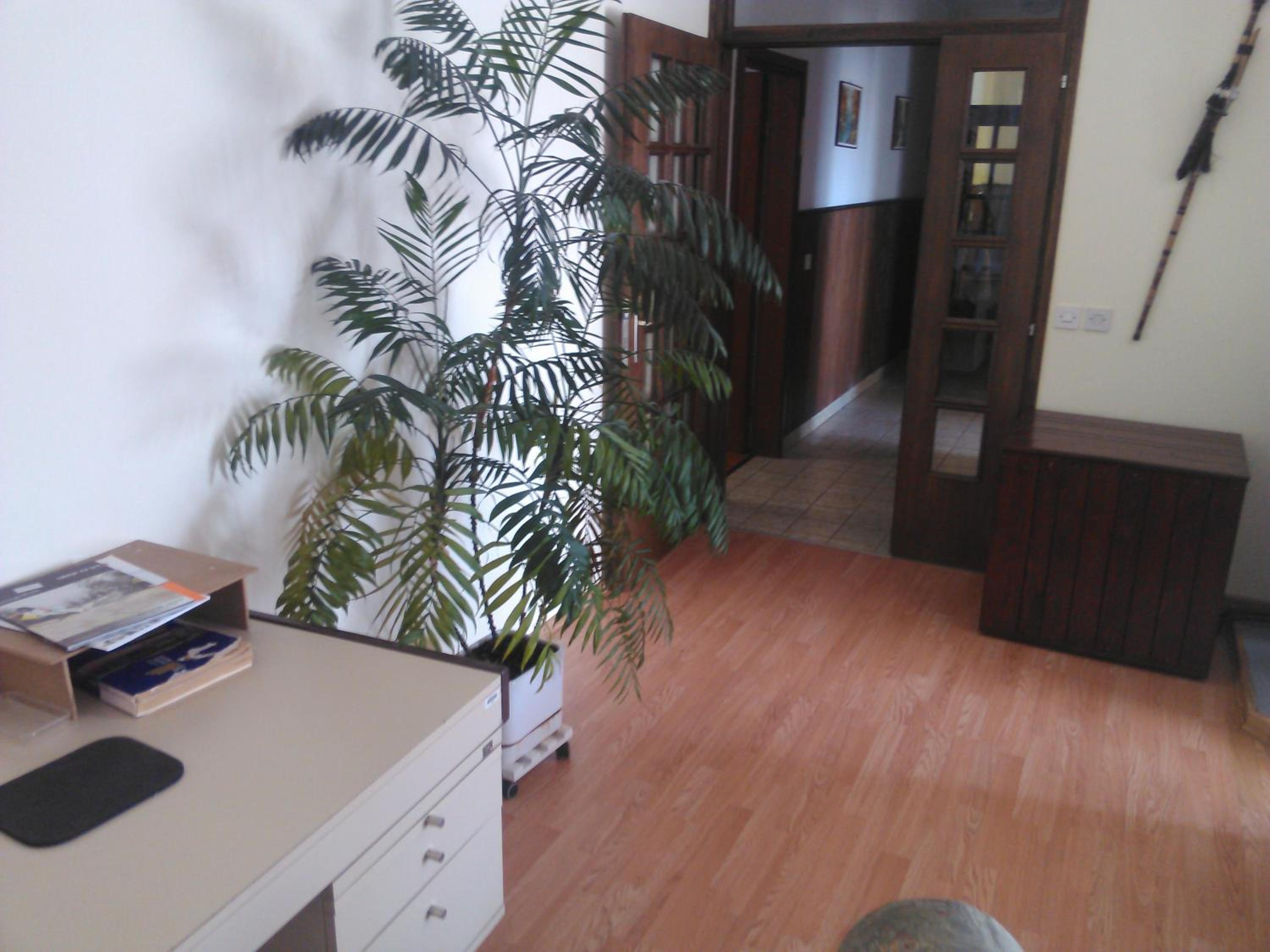 Photo 37