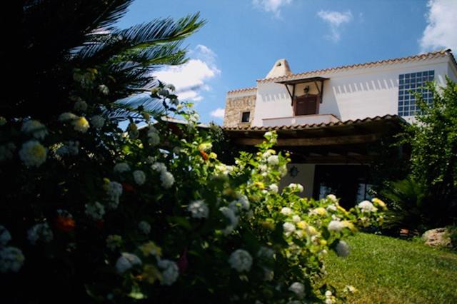 Villa Silvia Apartment