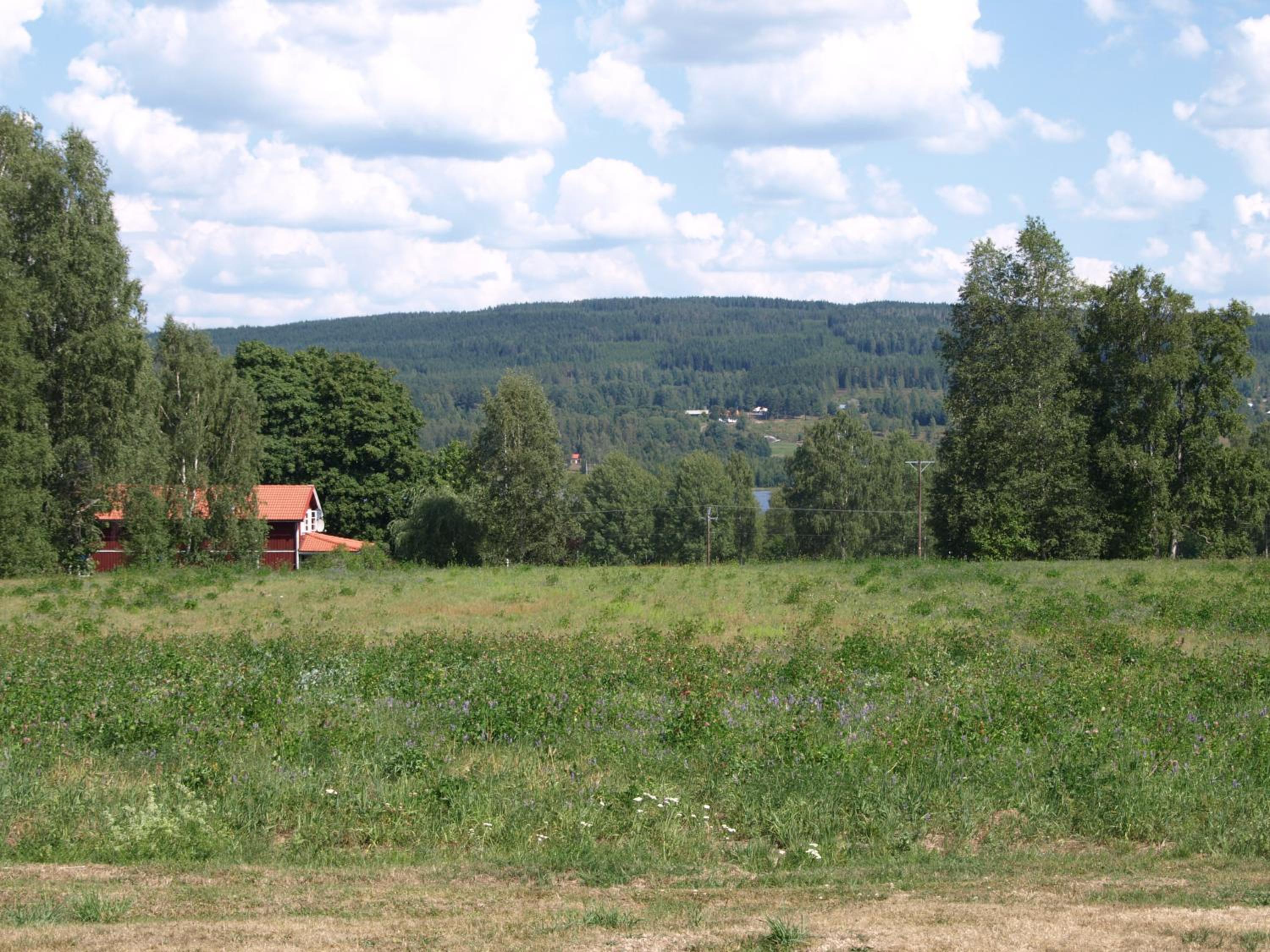 Photo 38