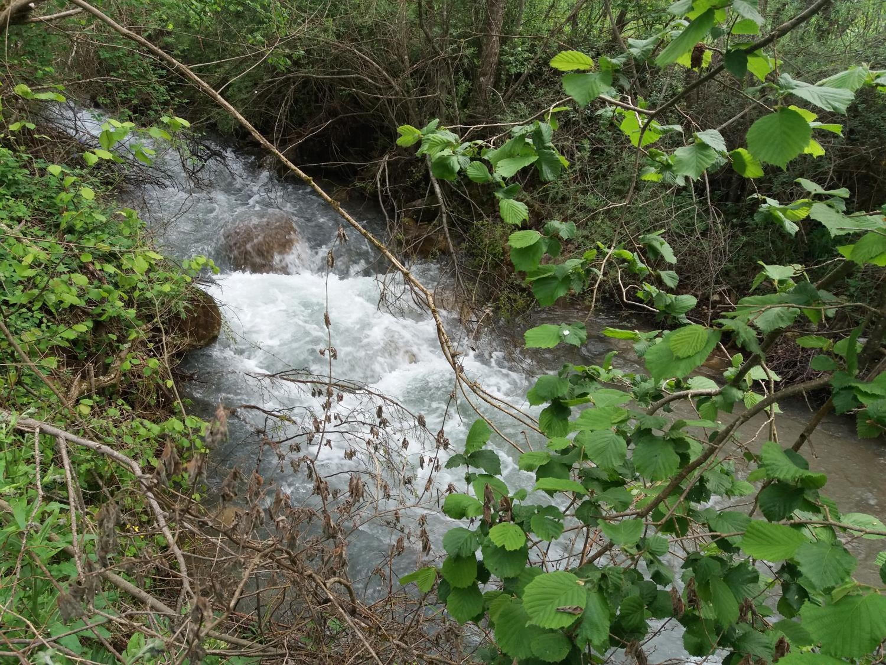Photo 40