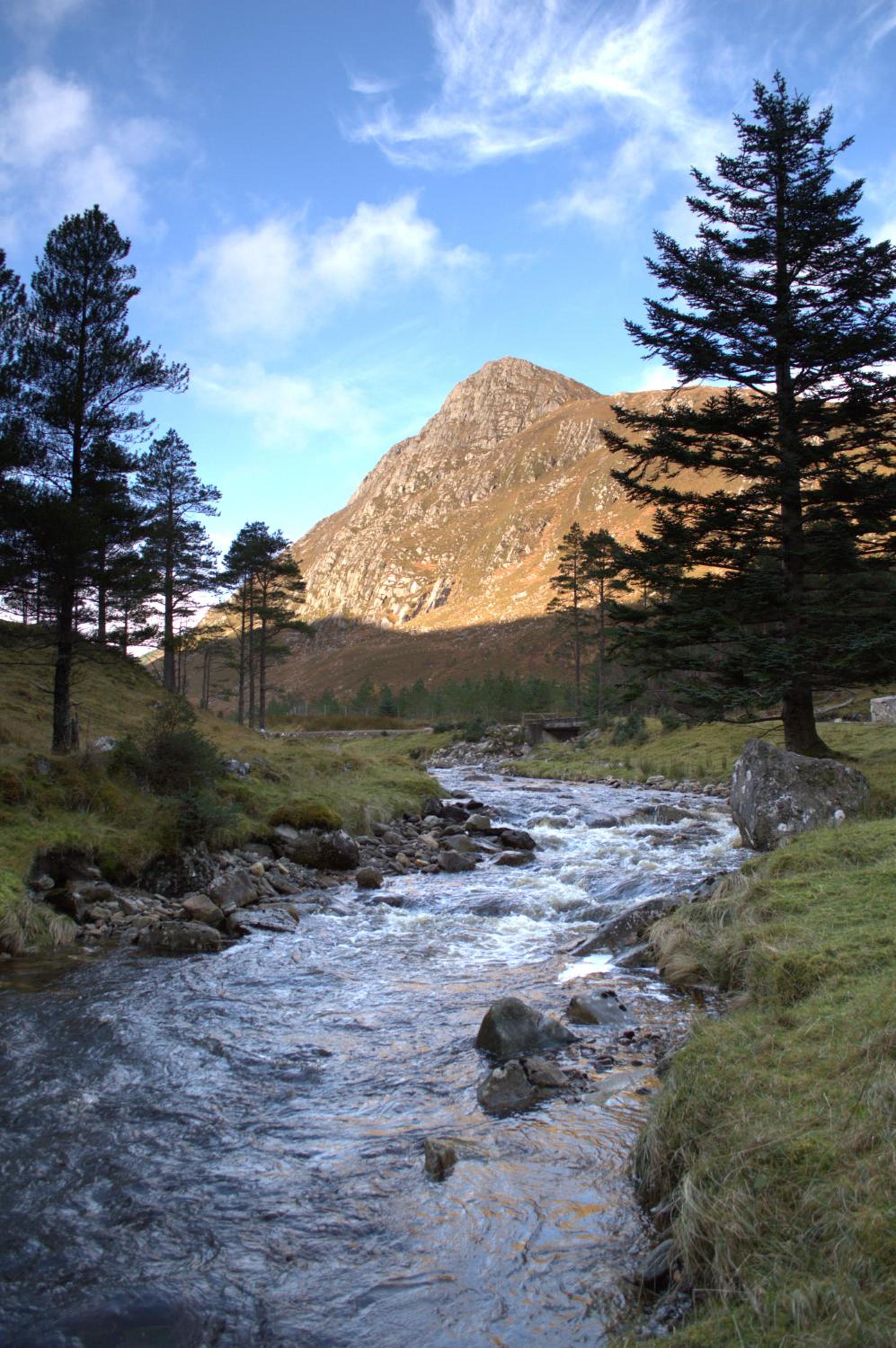 Rosemount Bothy - Highland Cottage view 2