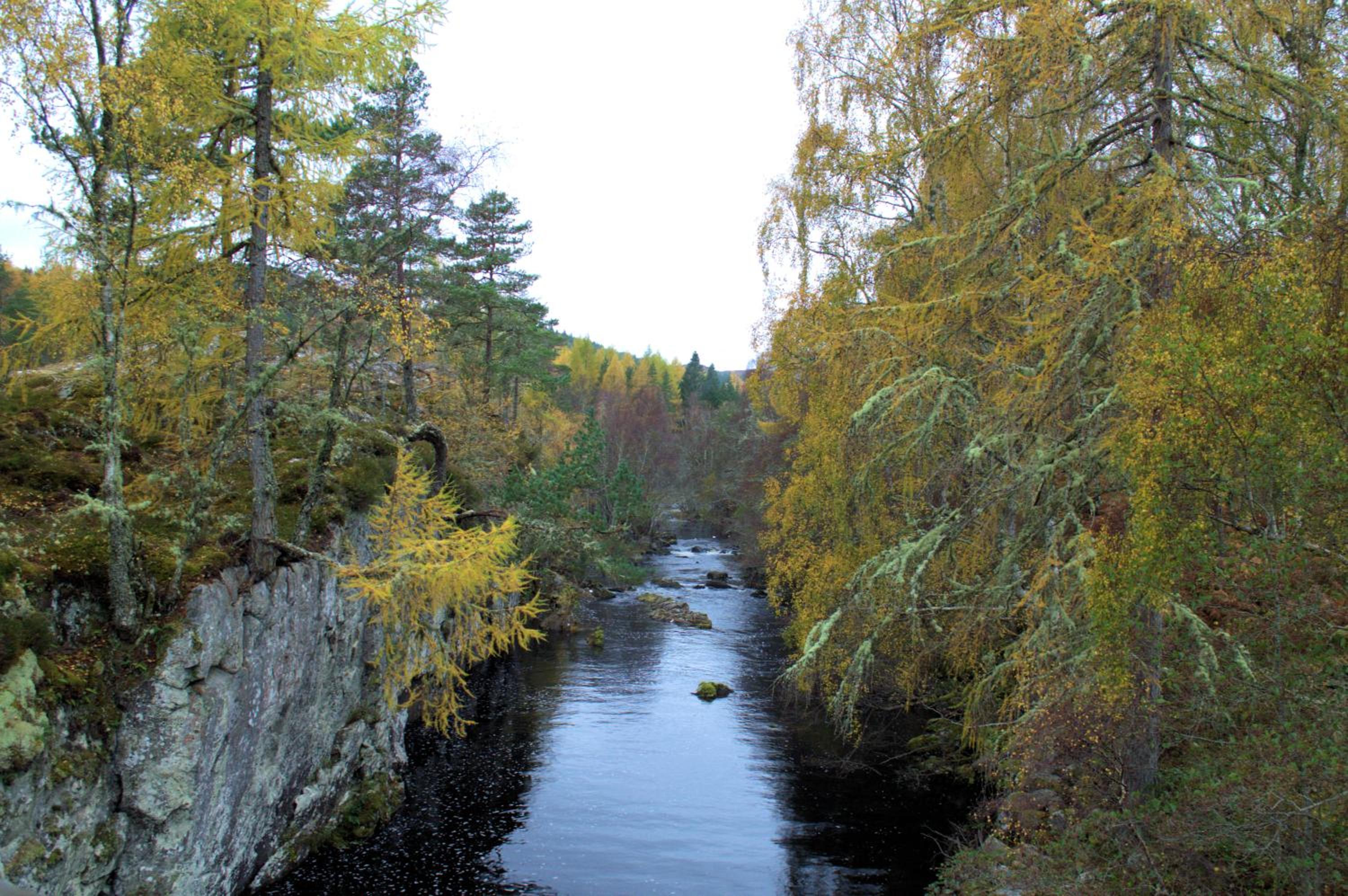 Rosemount Bothy - Highland Cottage view 5