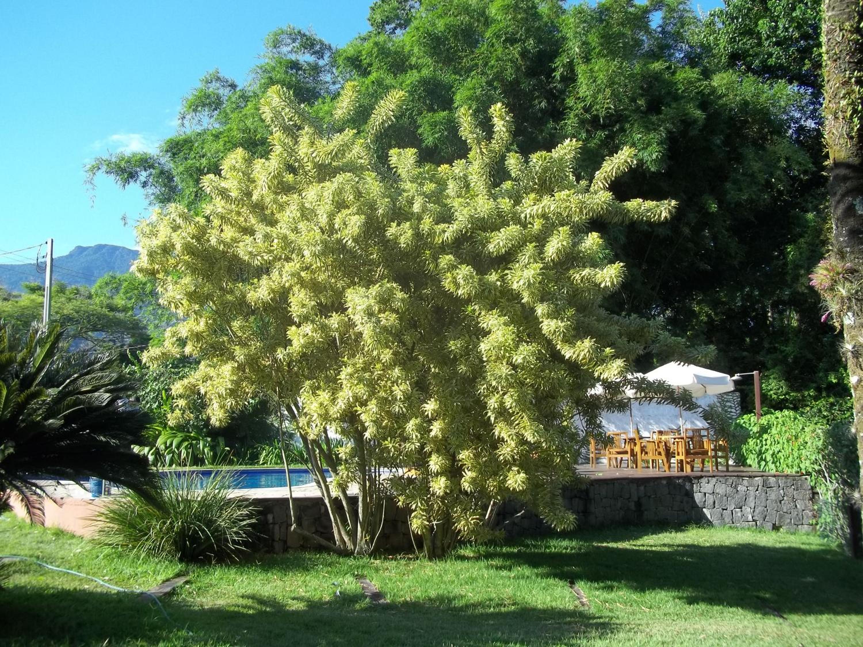 Photo 23