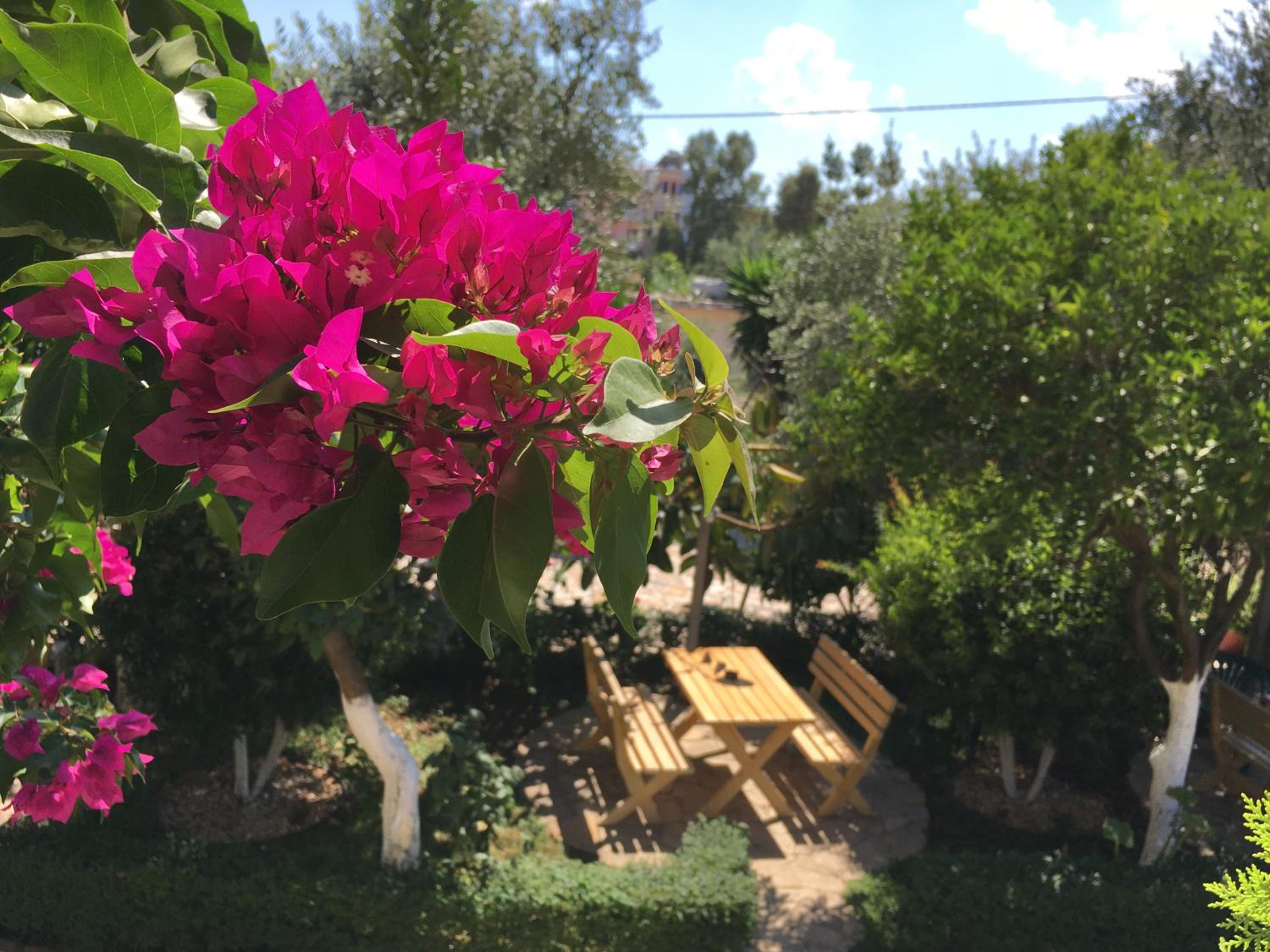 Flower Garden Villa