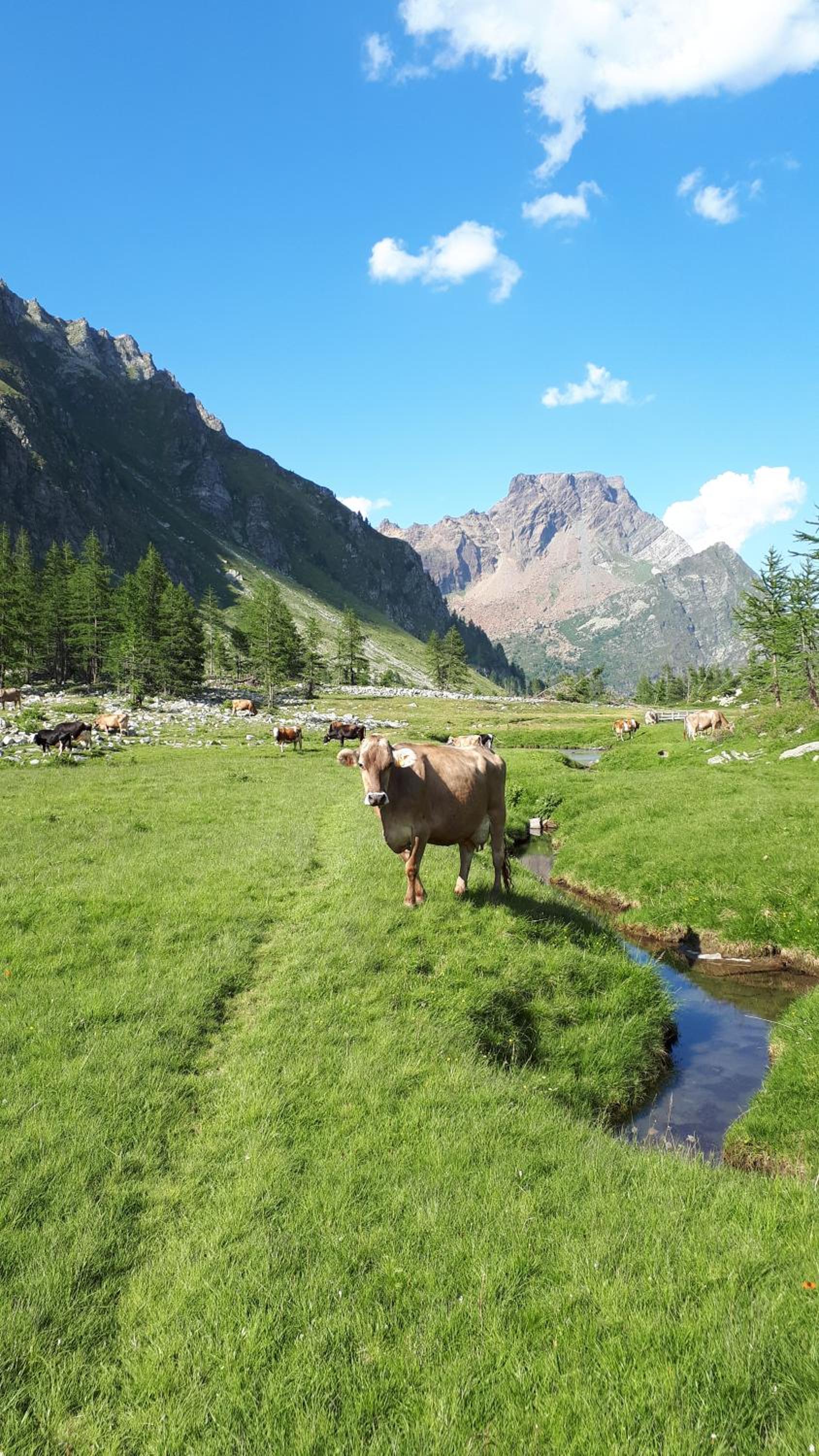 La Piana Appartamenti