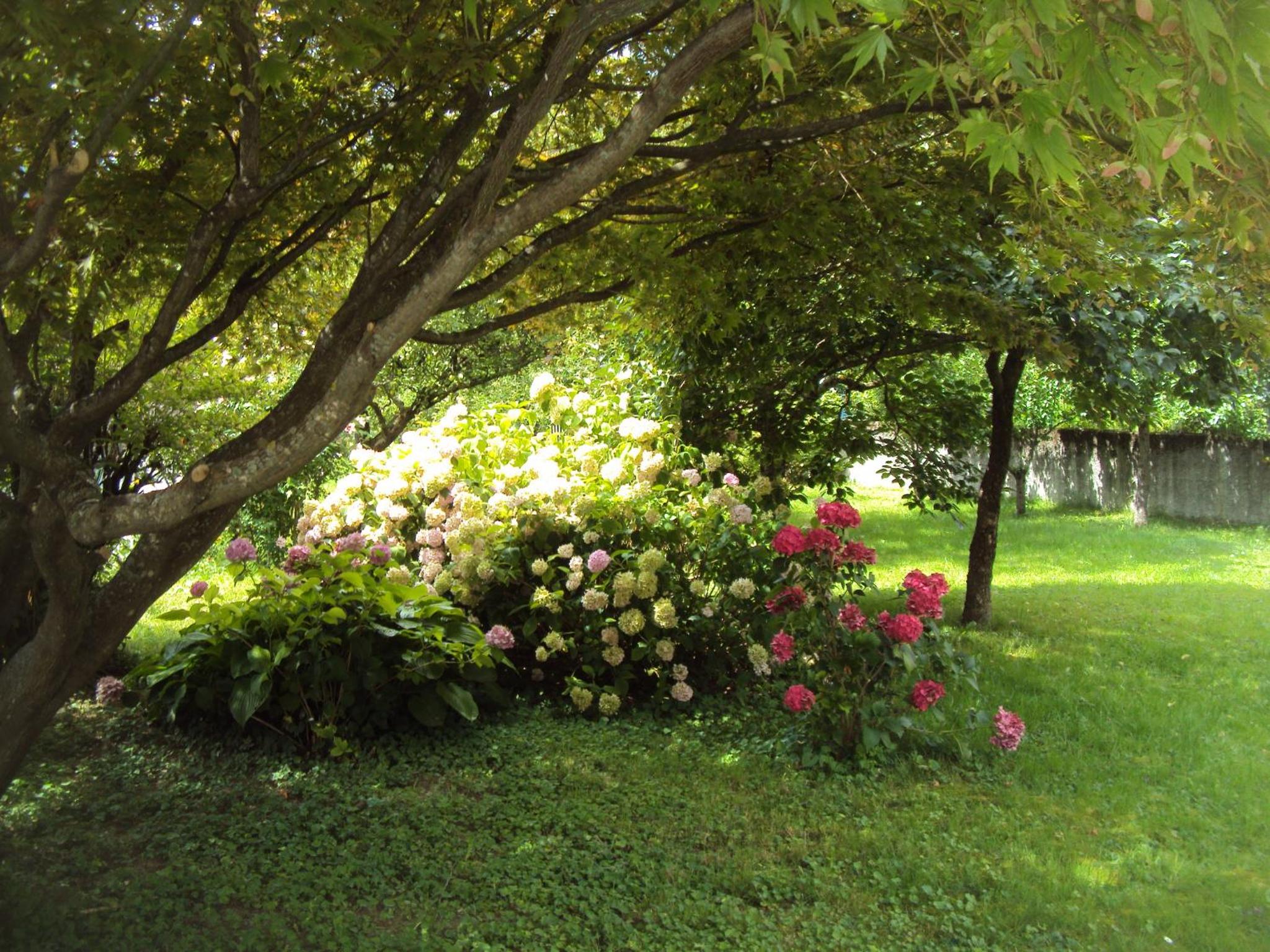 Photo 34