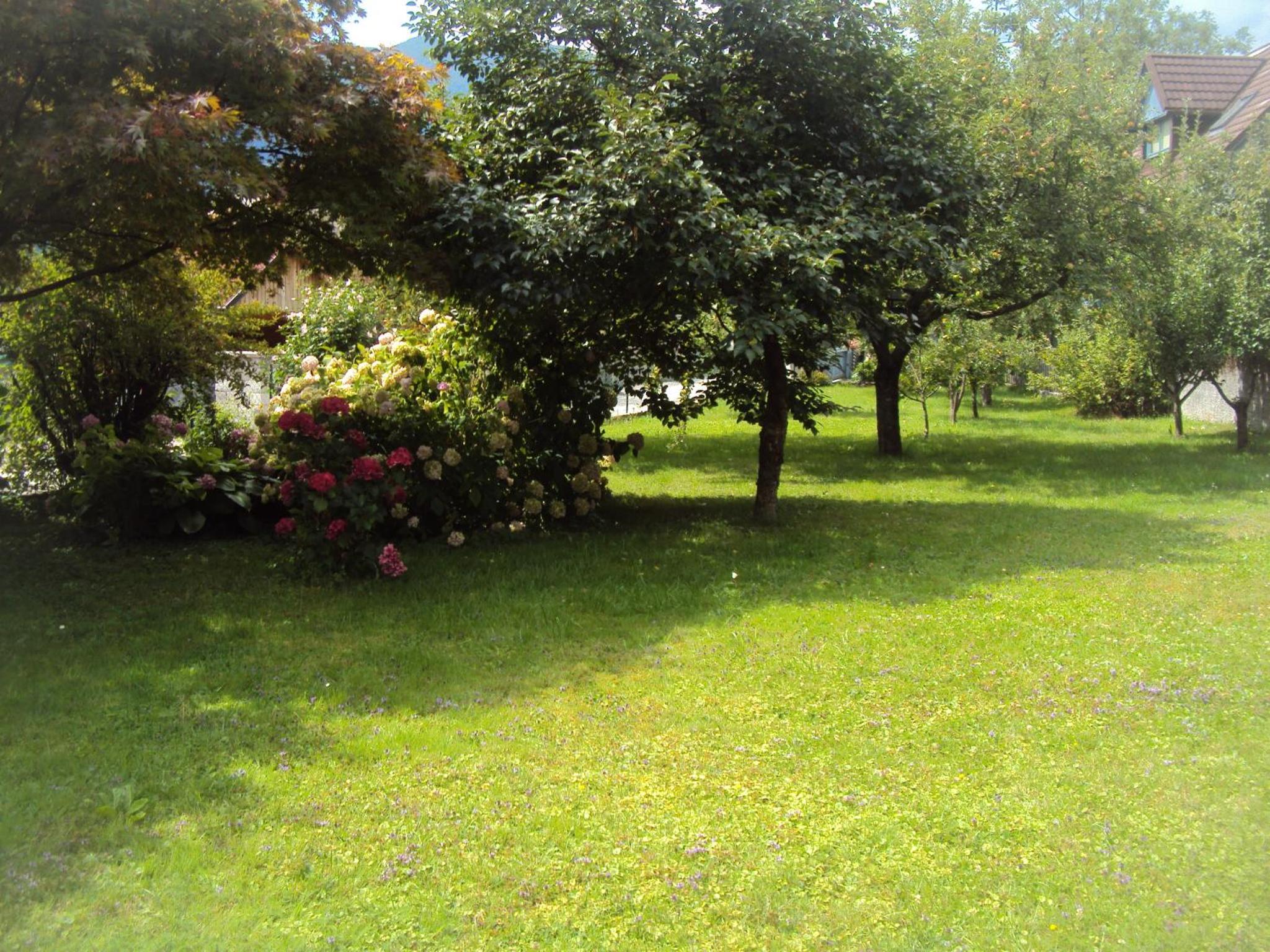 Photo 35