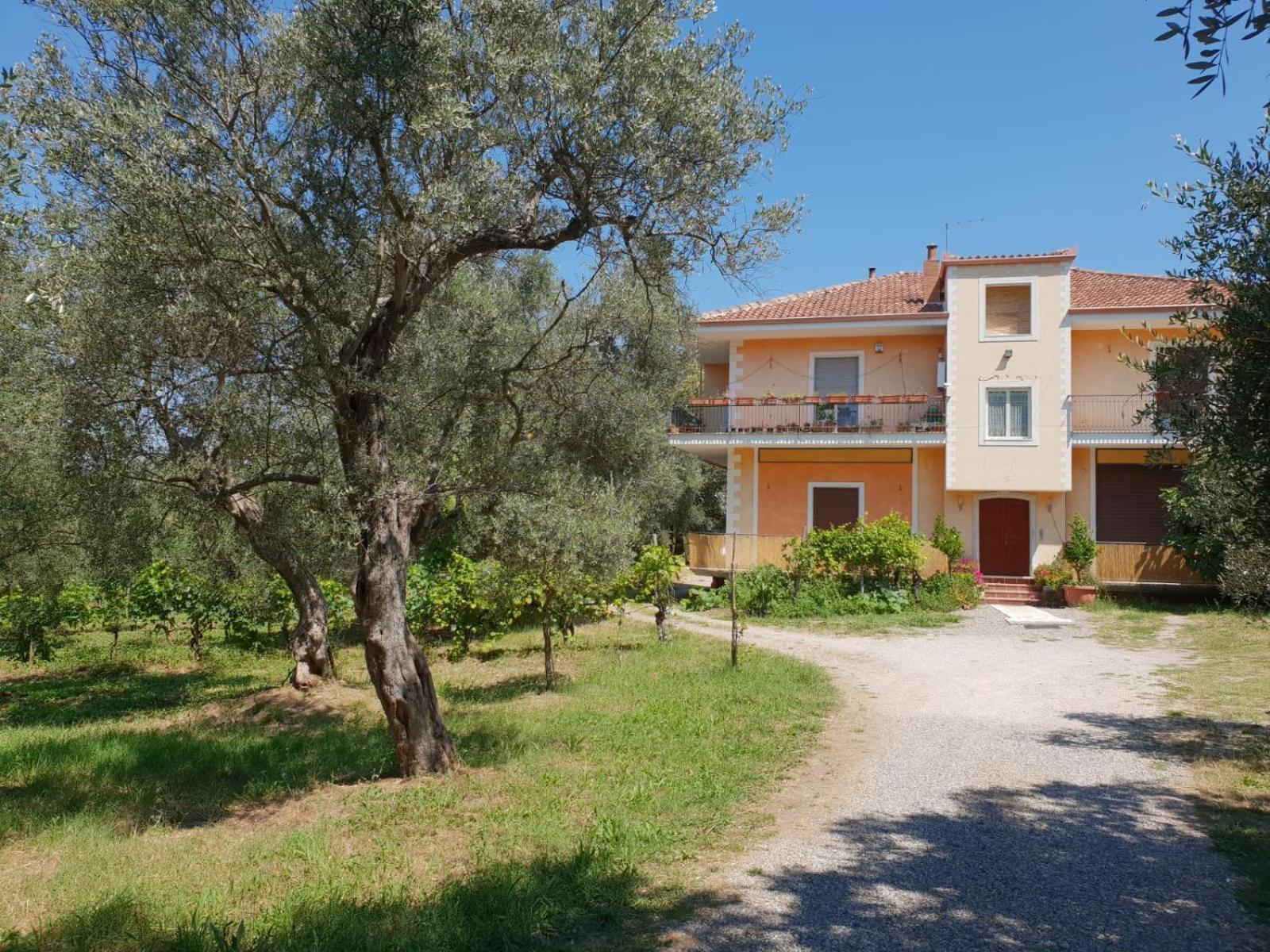 L'Oasi view 2