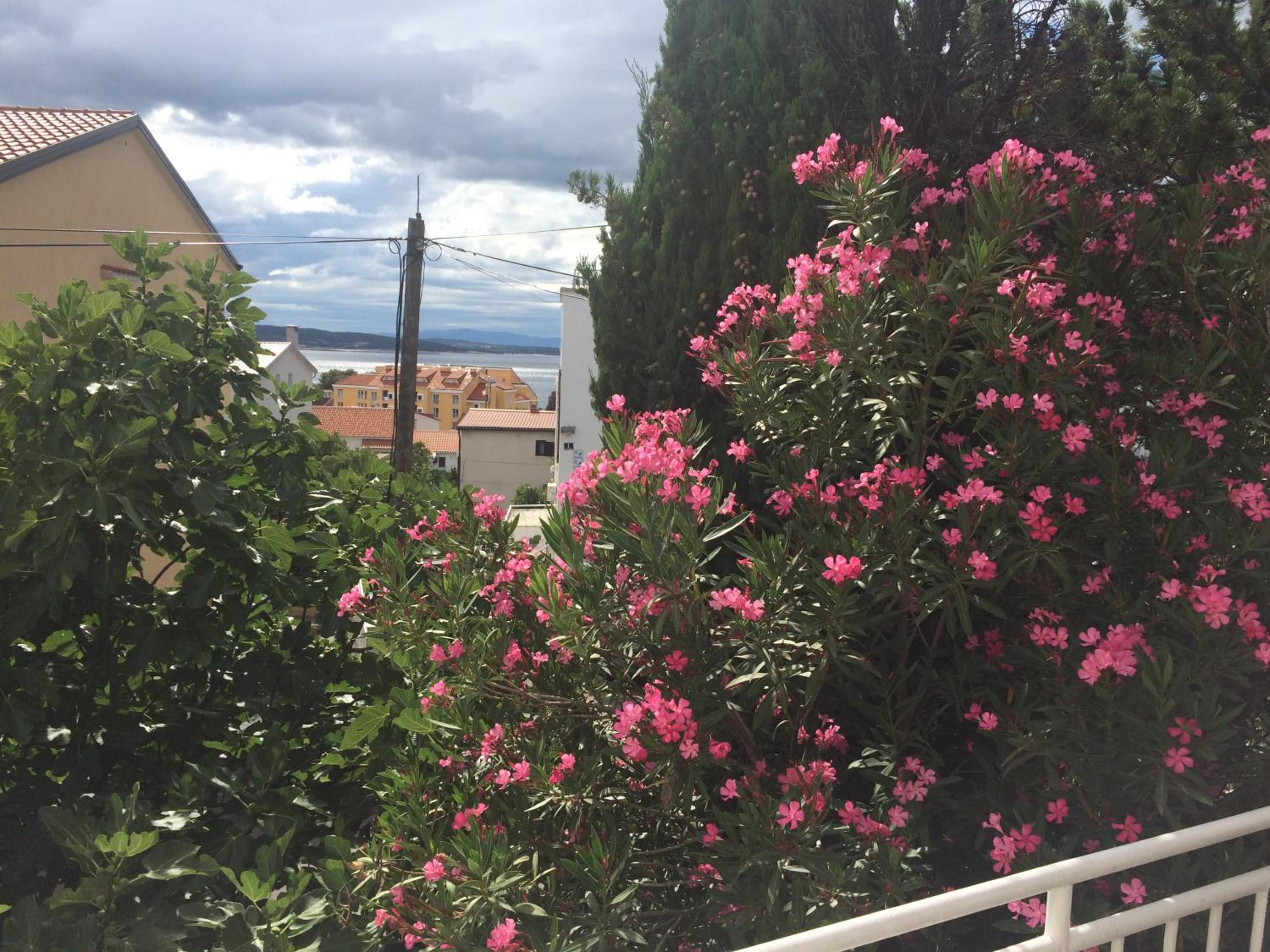 Apartmani Focic view 2