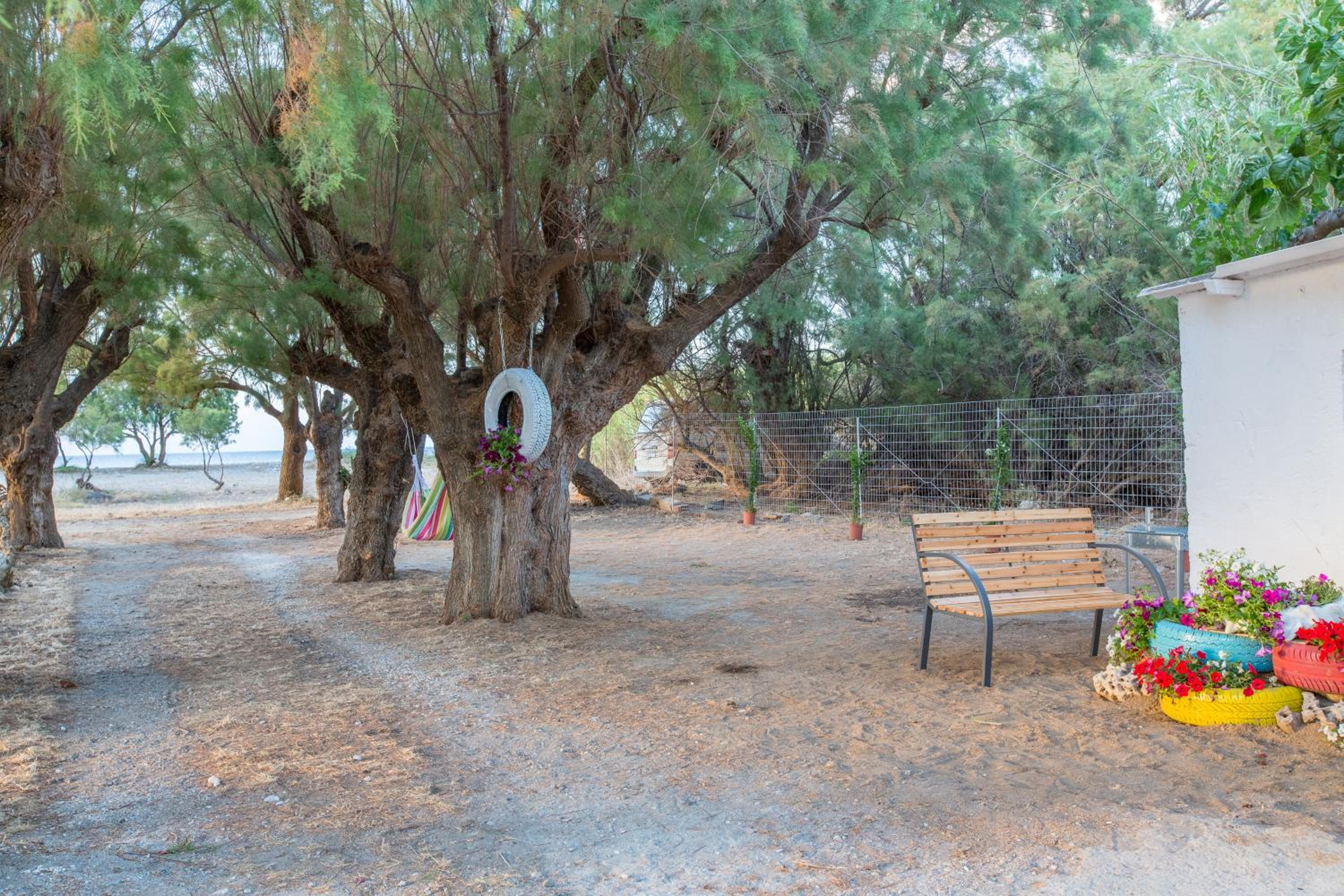 Photo 17