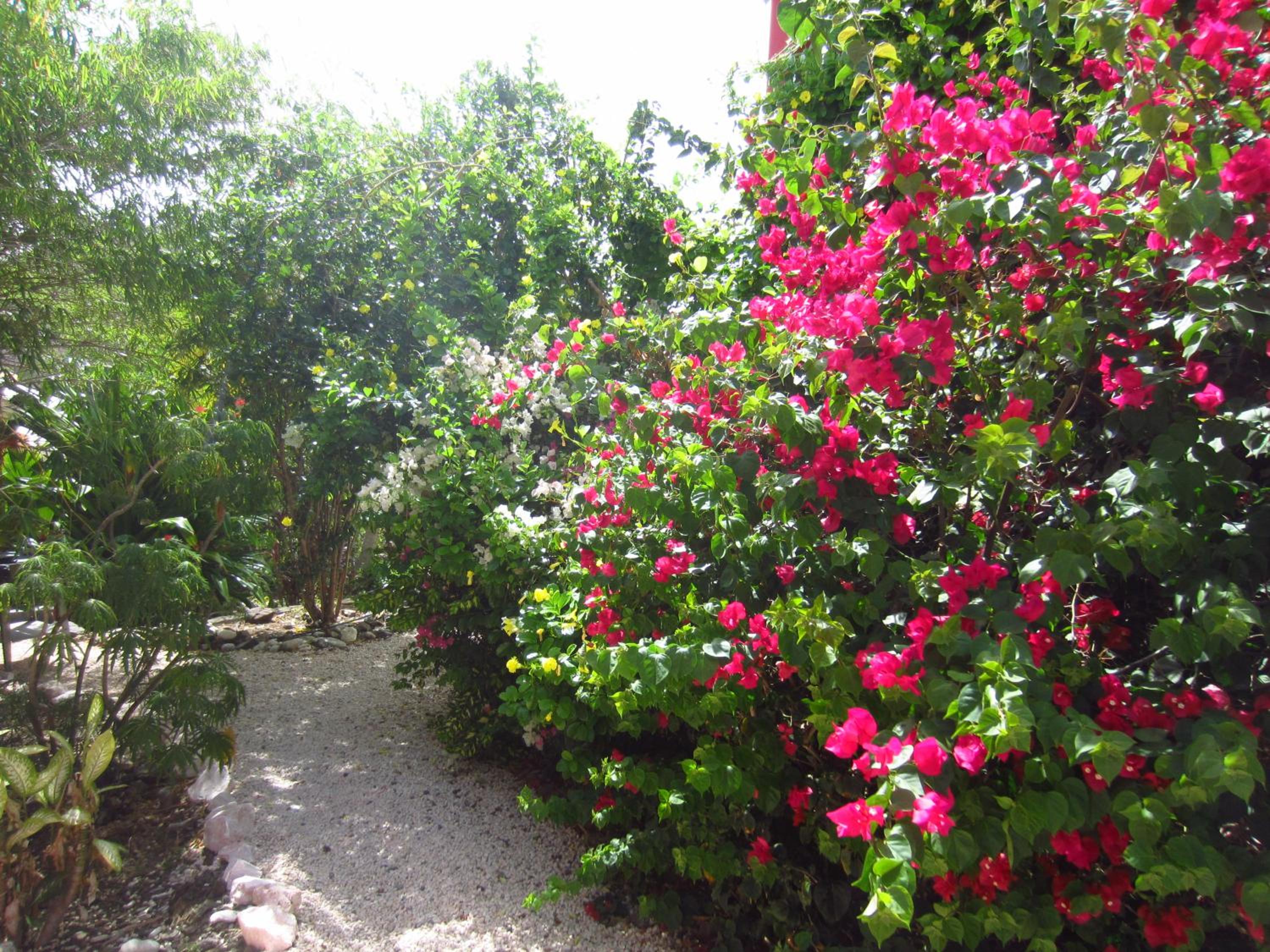 Photo 47
