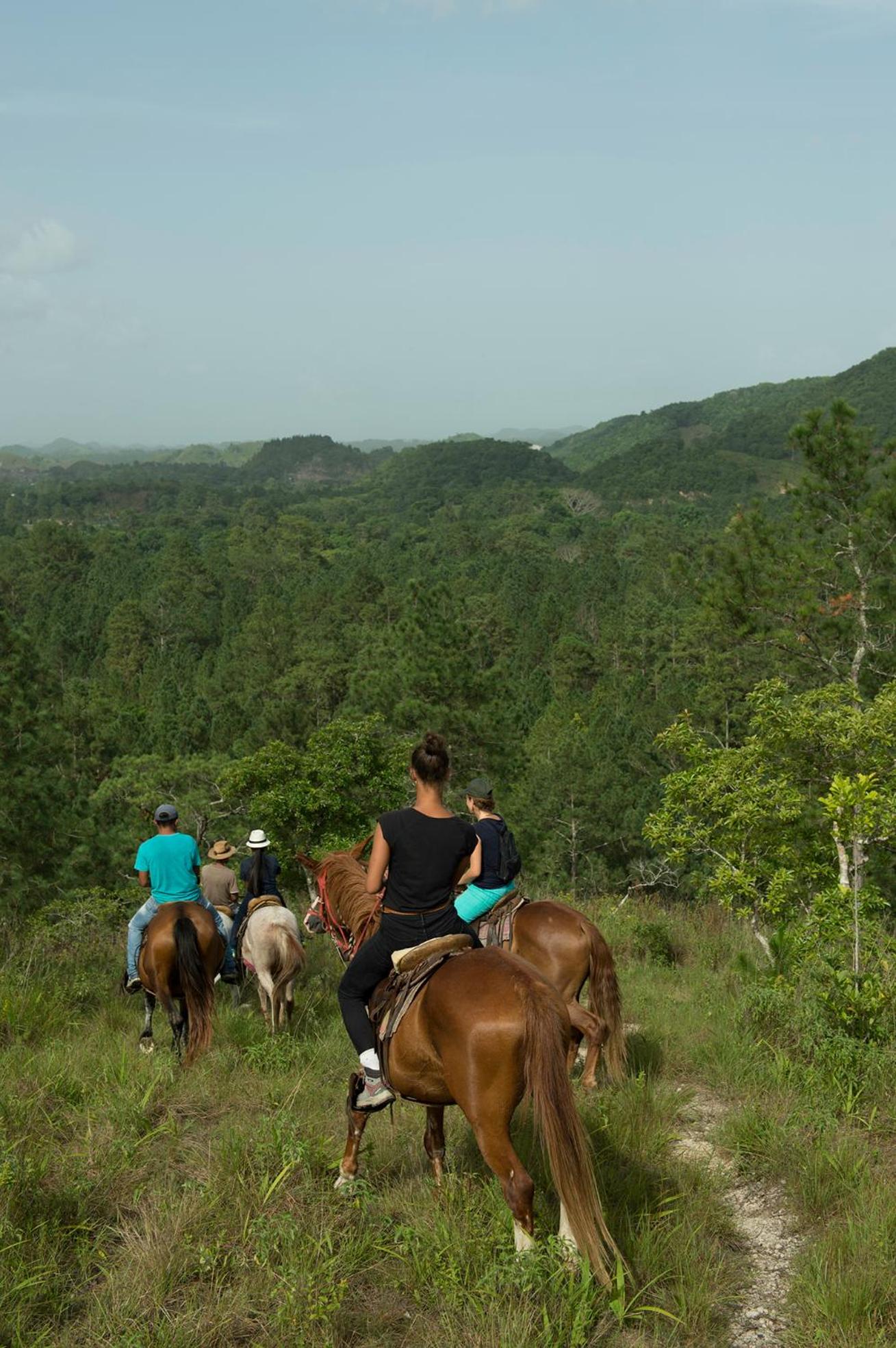 Finca Ixobel, photo 38