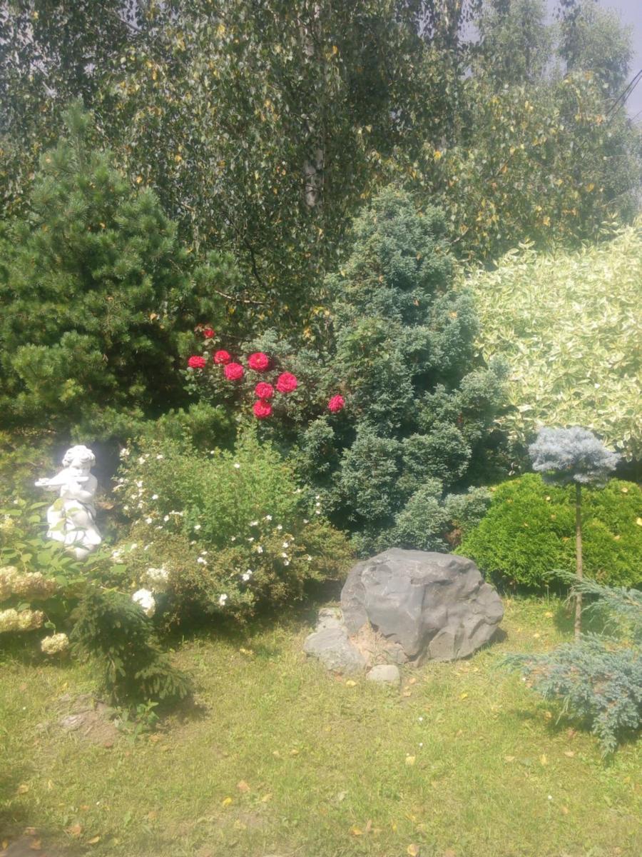Photo 47