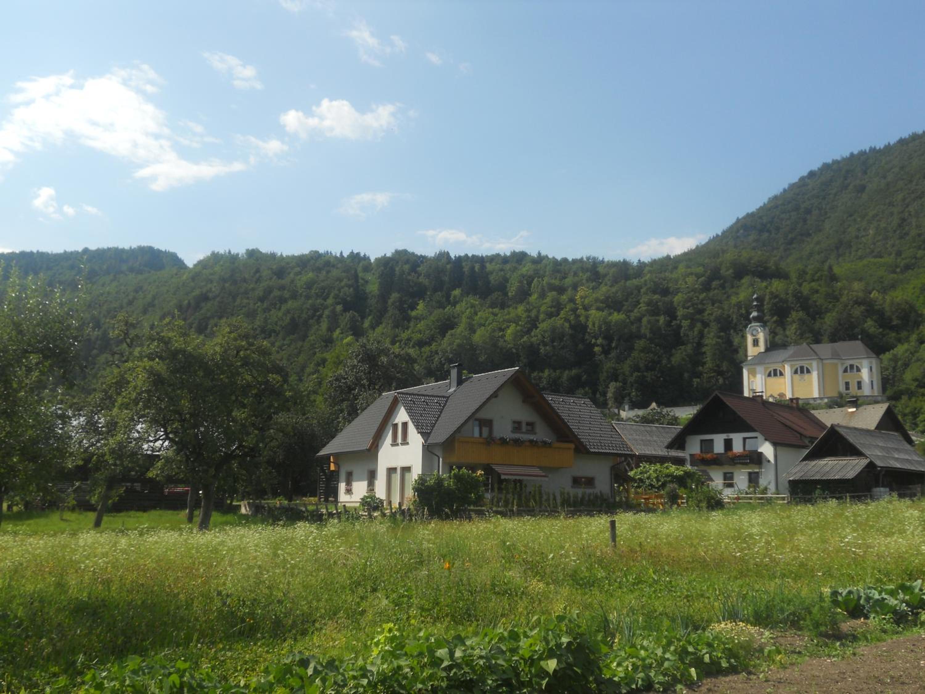 Apartmaji Bremec view 3