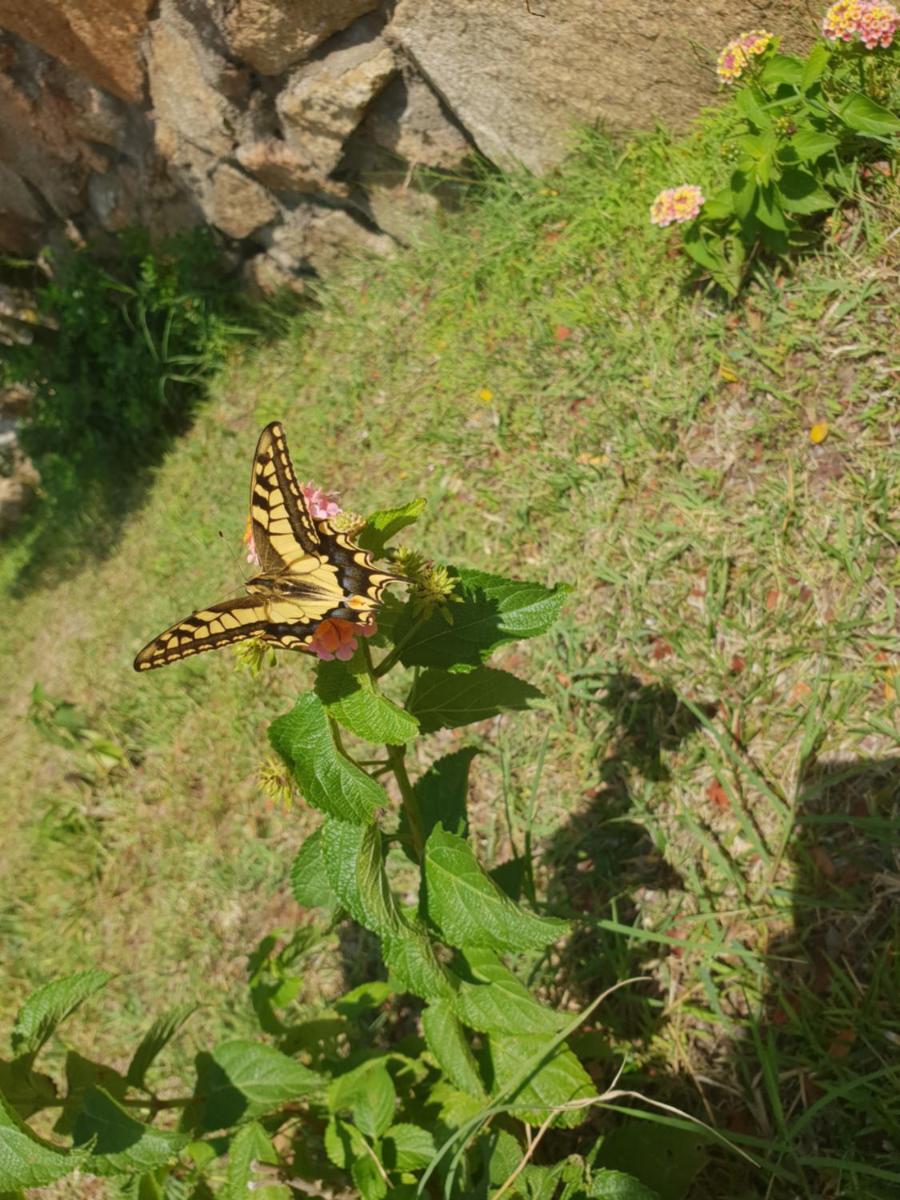 Villa Sprafundu - Property Image 14