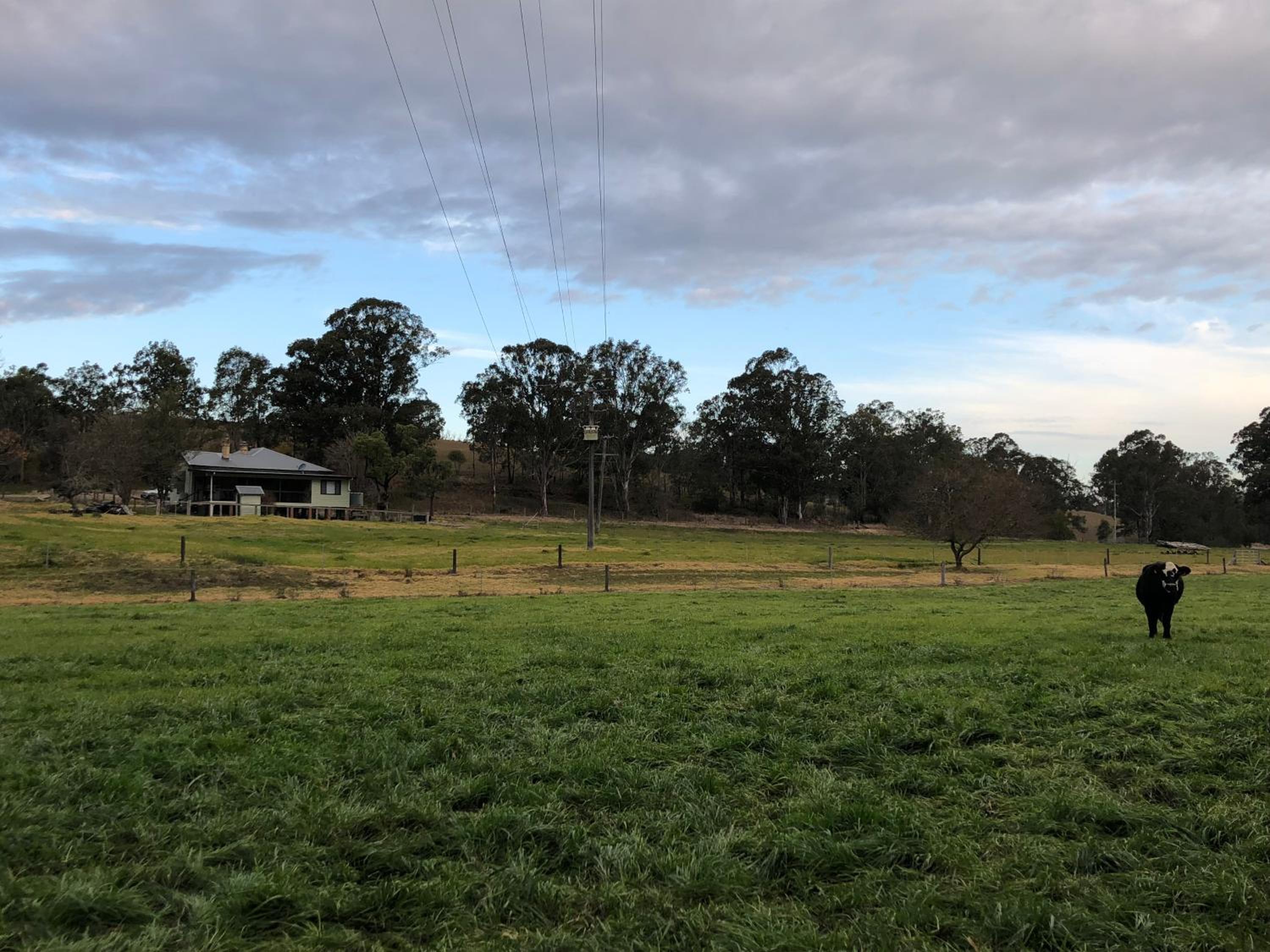 Bobby's Country Rental