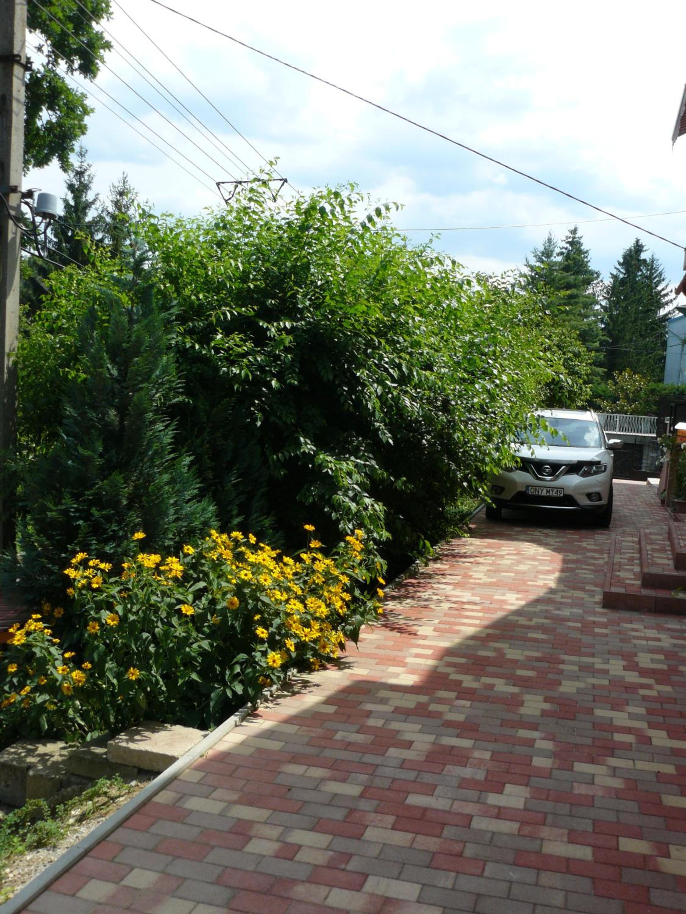 Hejő Apartman view 4