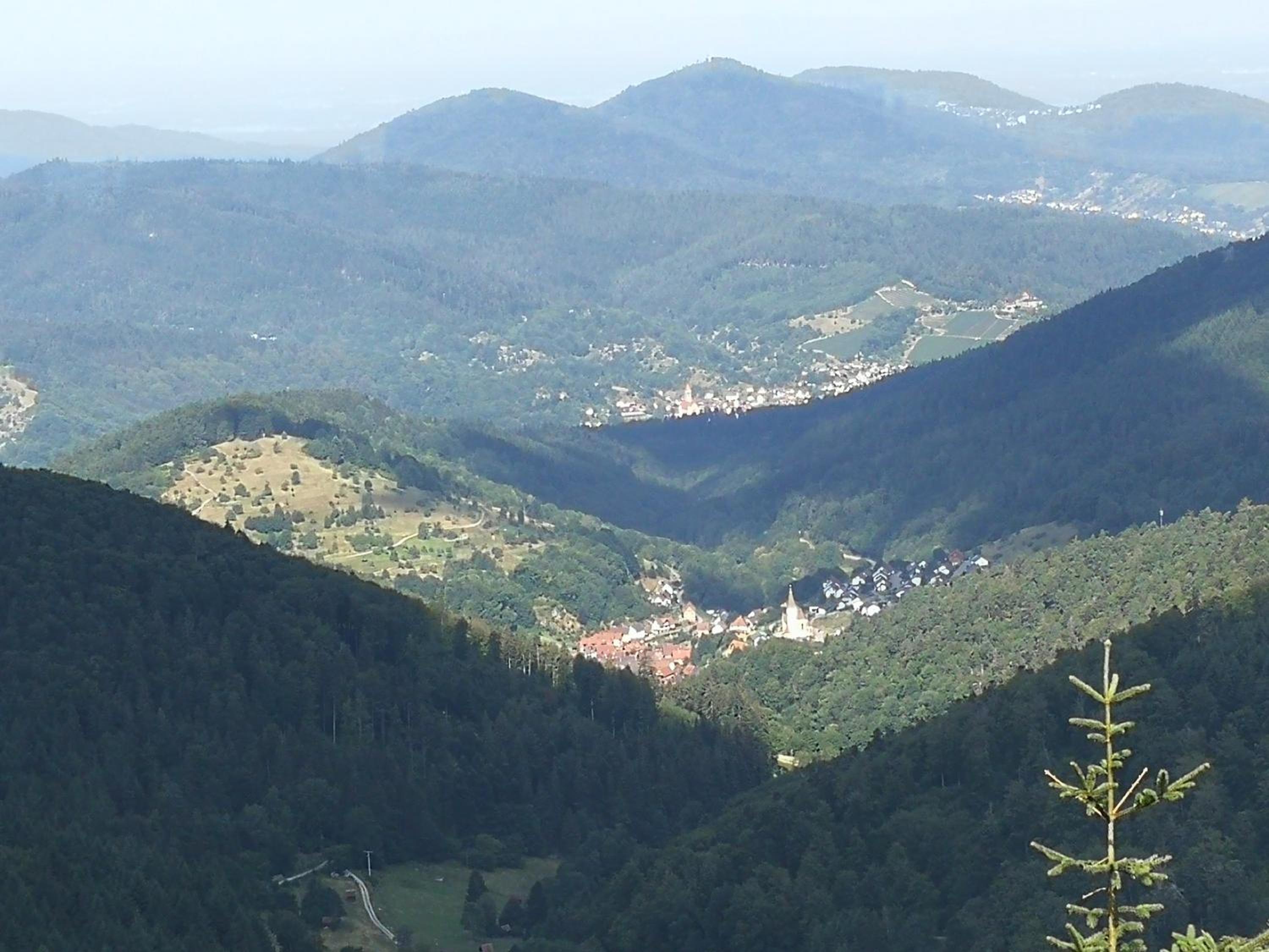 Photo 17