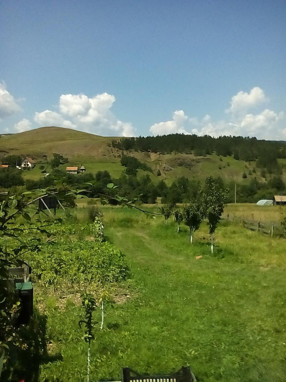 Photo 37