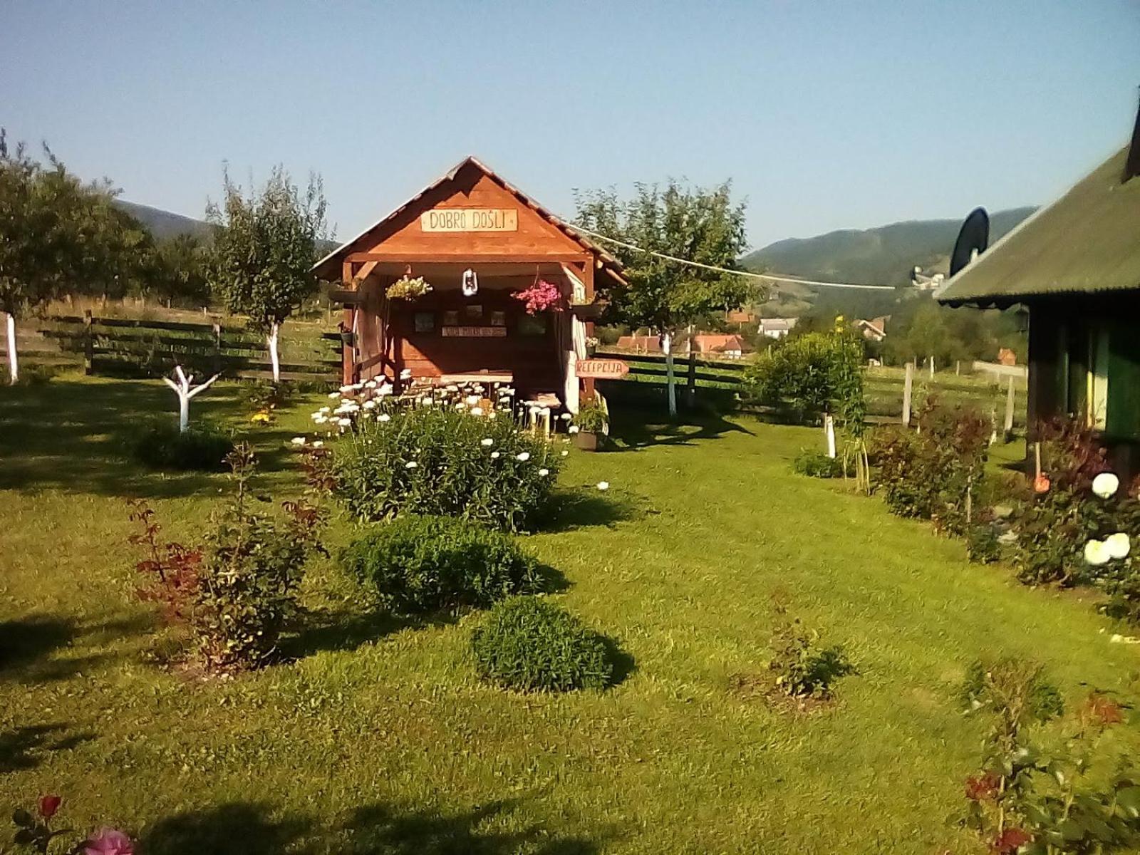 Photo 17