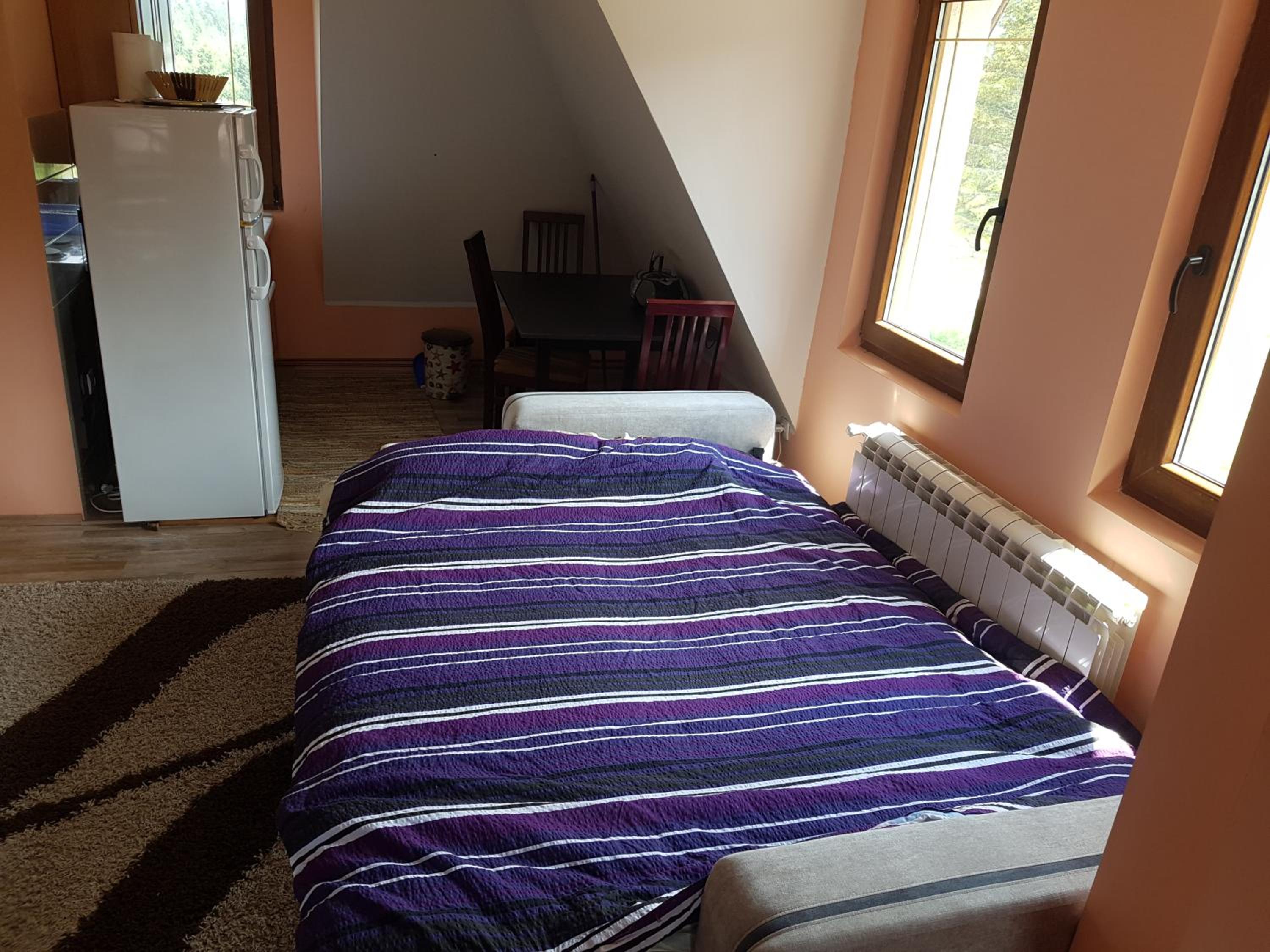 Photo 46