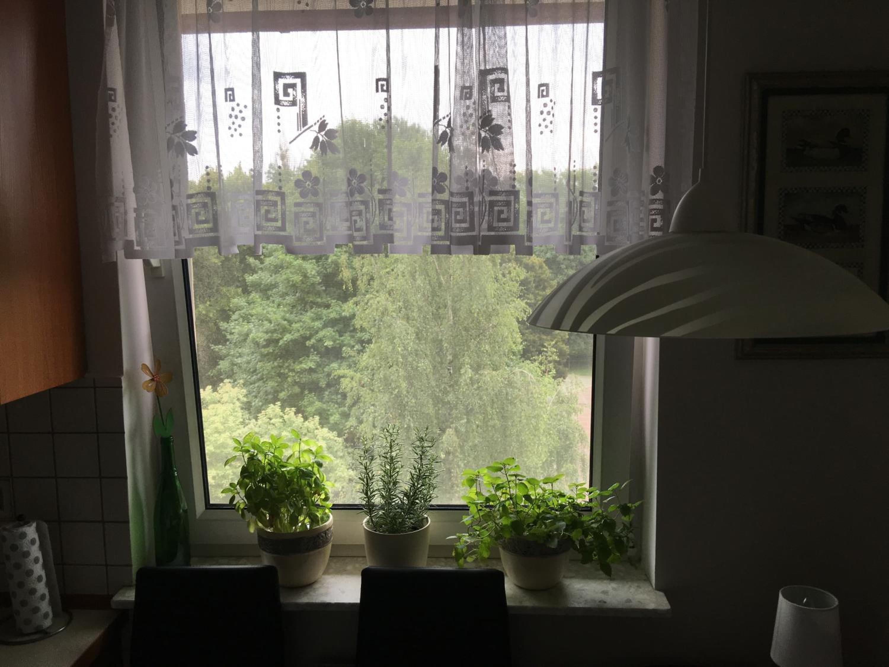 Apartament Park, photo 3