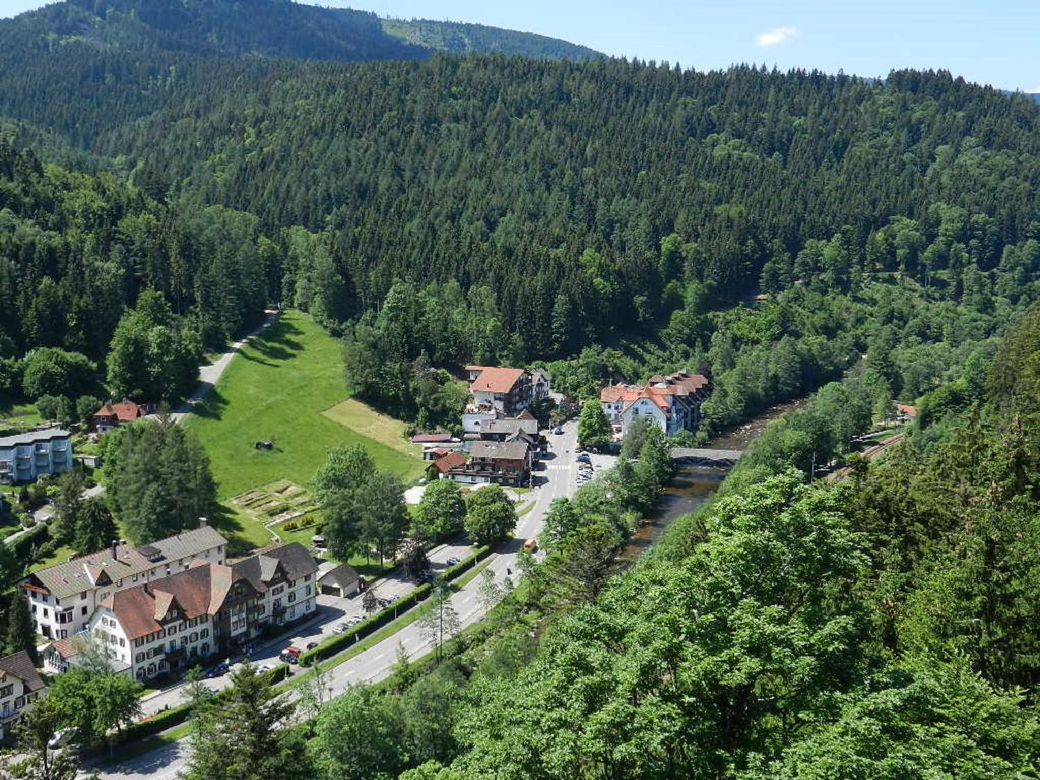 Ferienwohnungen in Schönmünzach