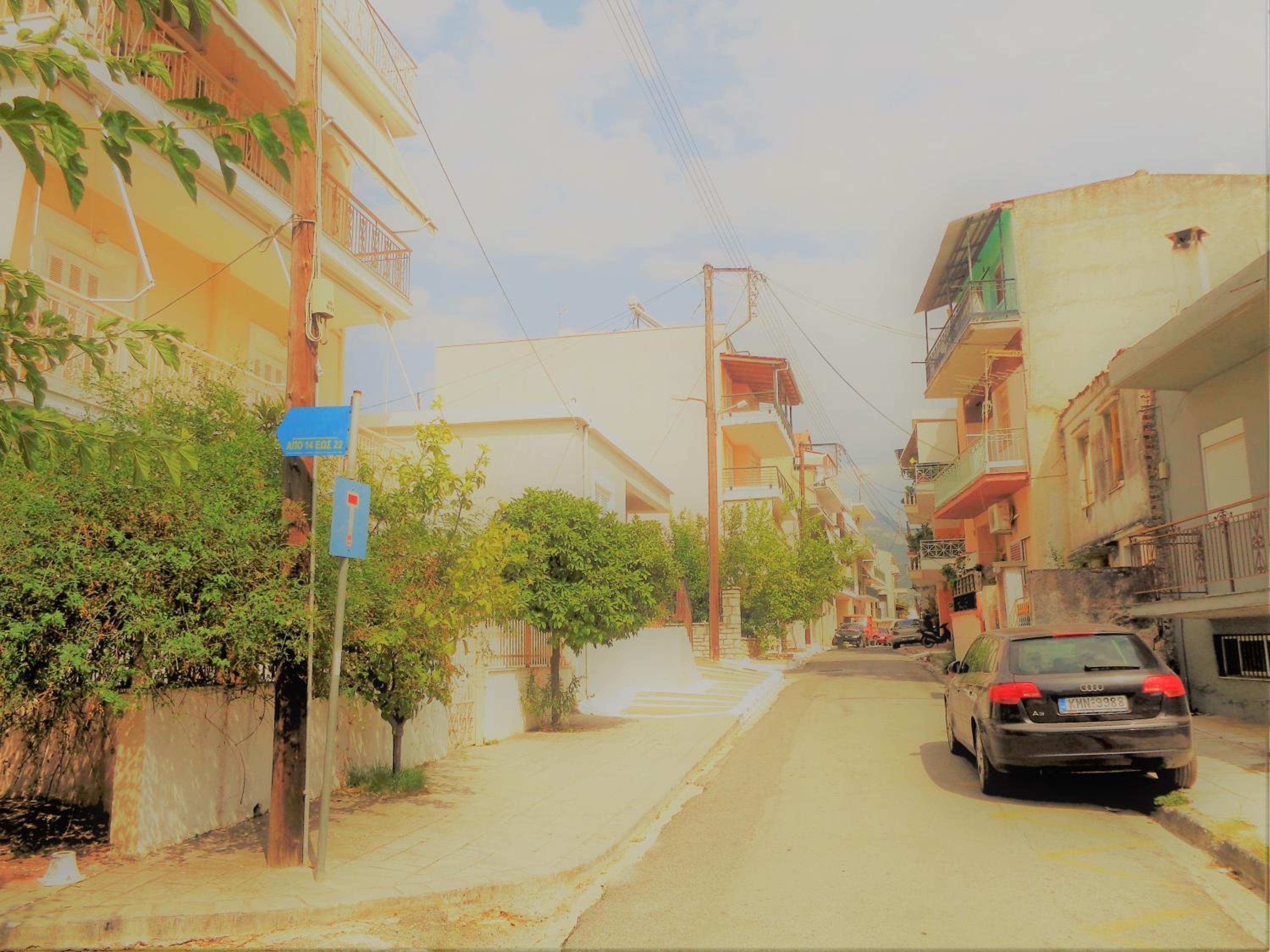 Photo 44