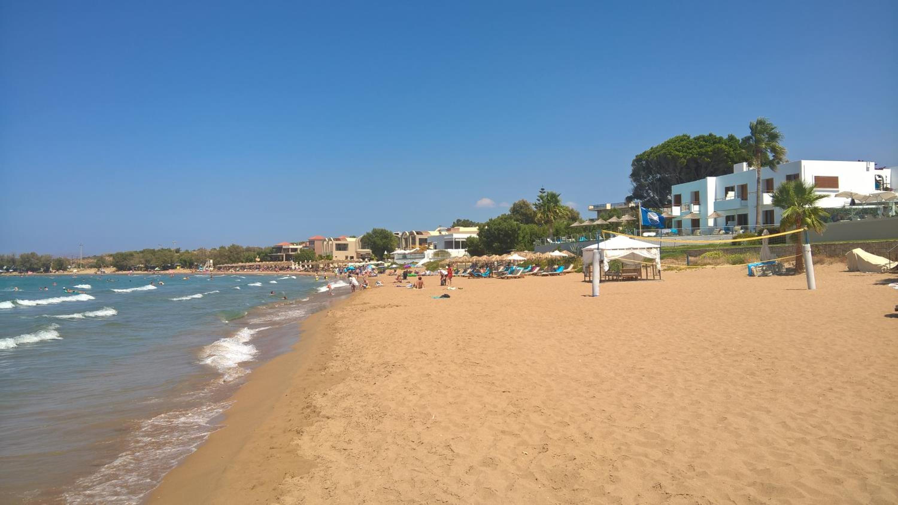 Zinovia