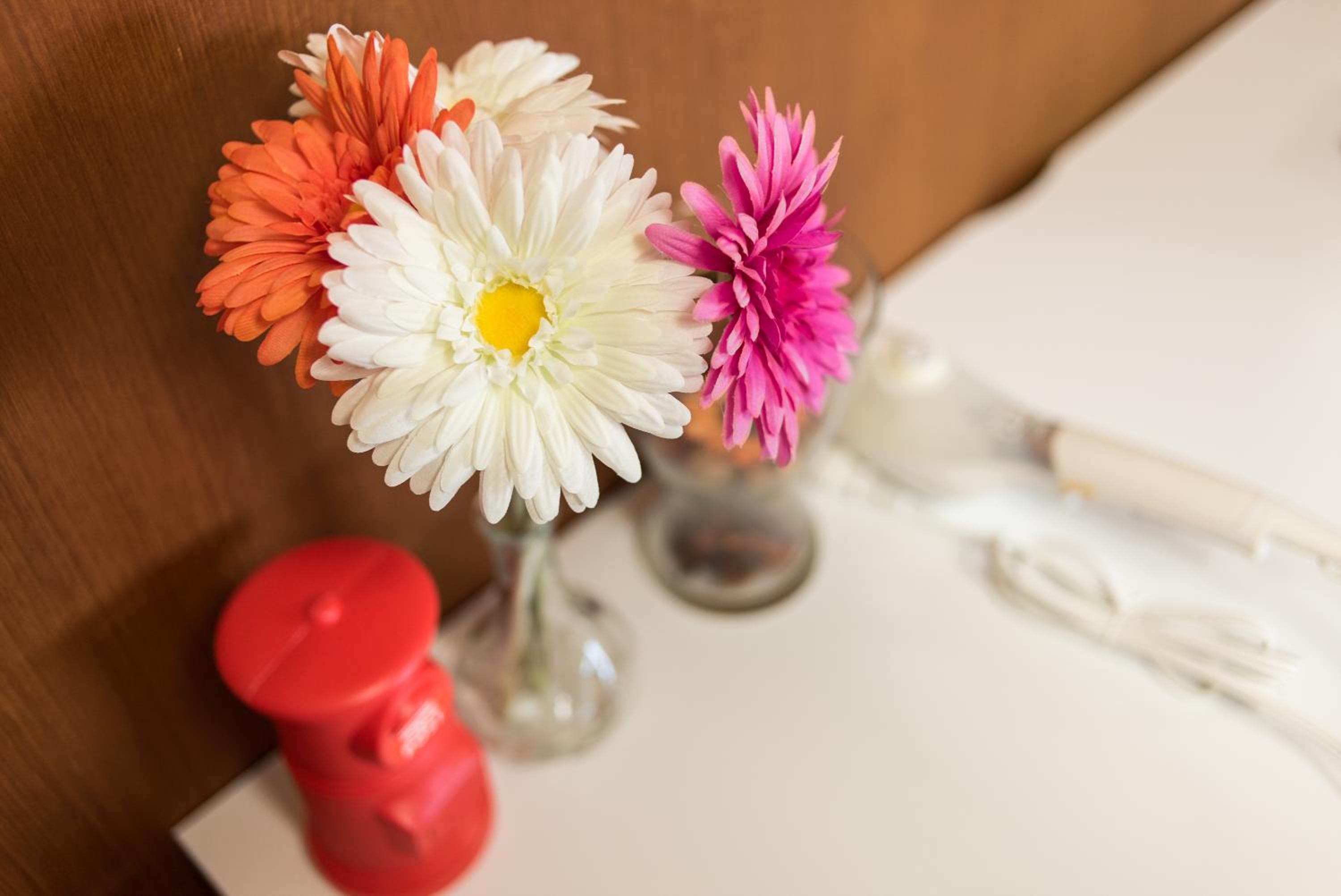 Teradaya Osaka Ryokan 150m2 寺田屋大阪旅館 your own property sweet home in Osaka
