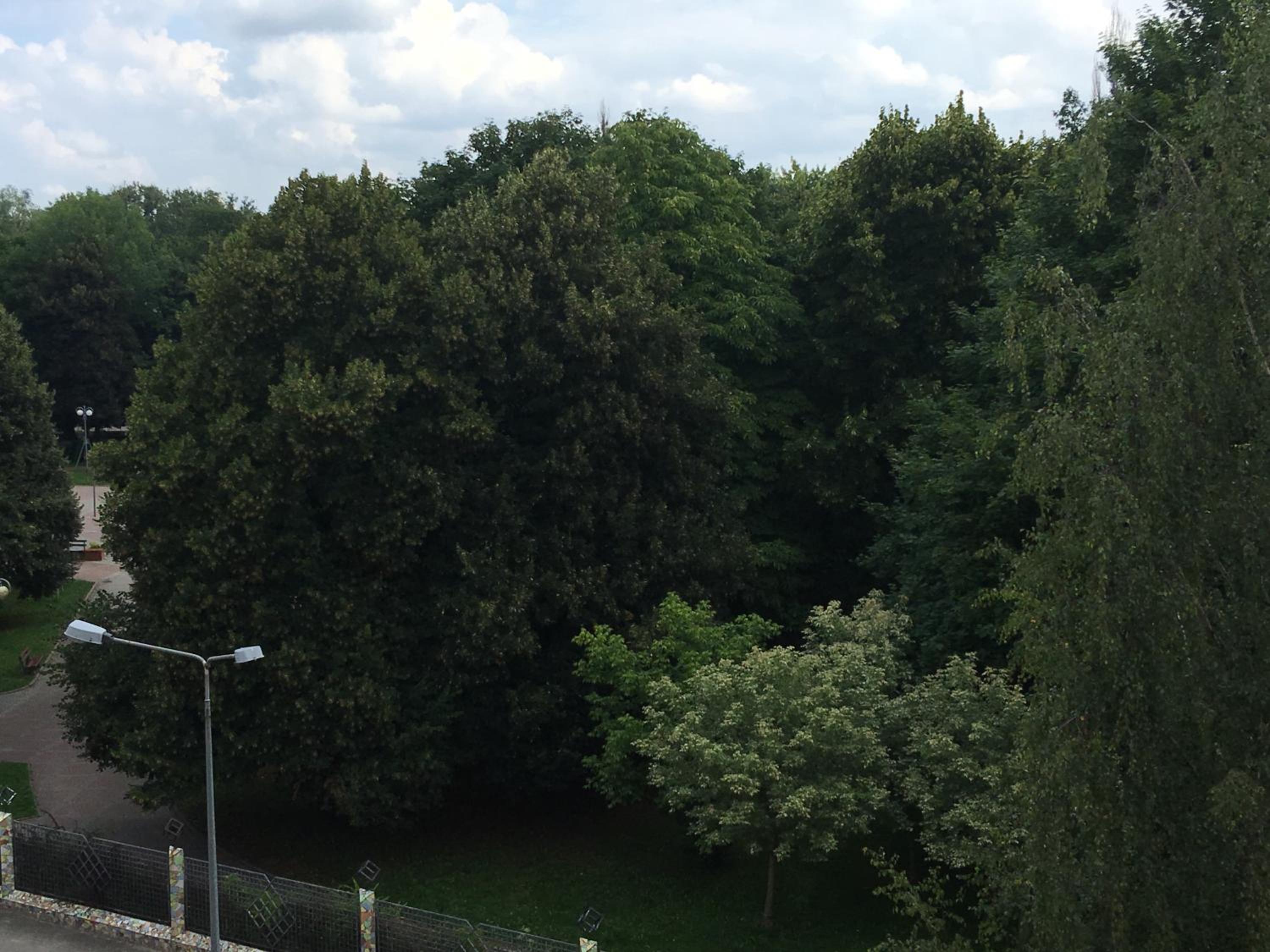 Photo 44