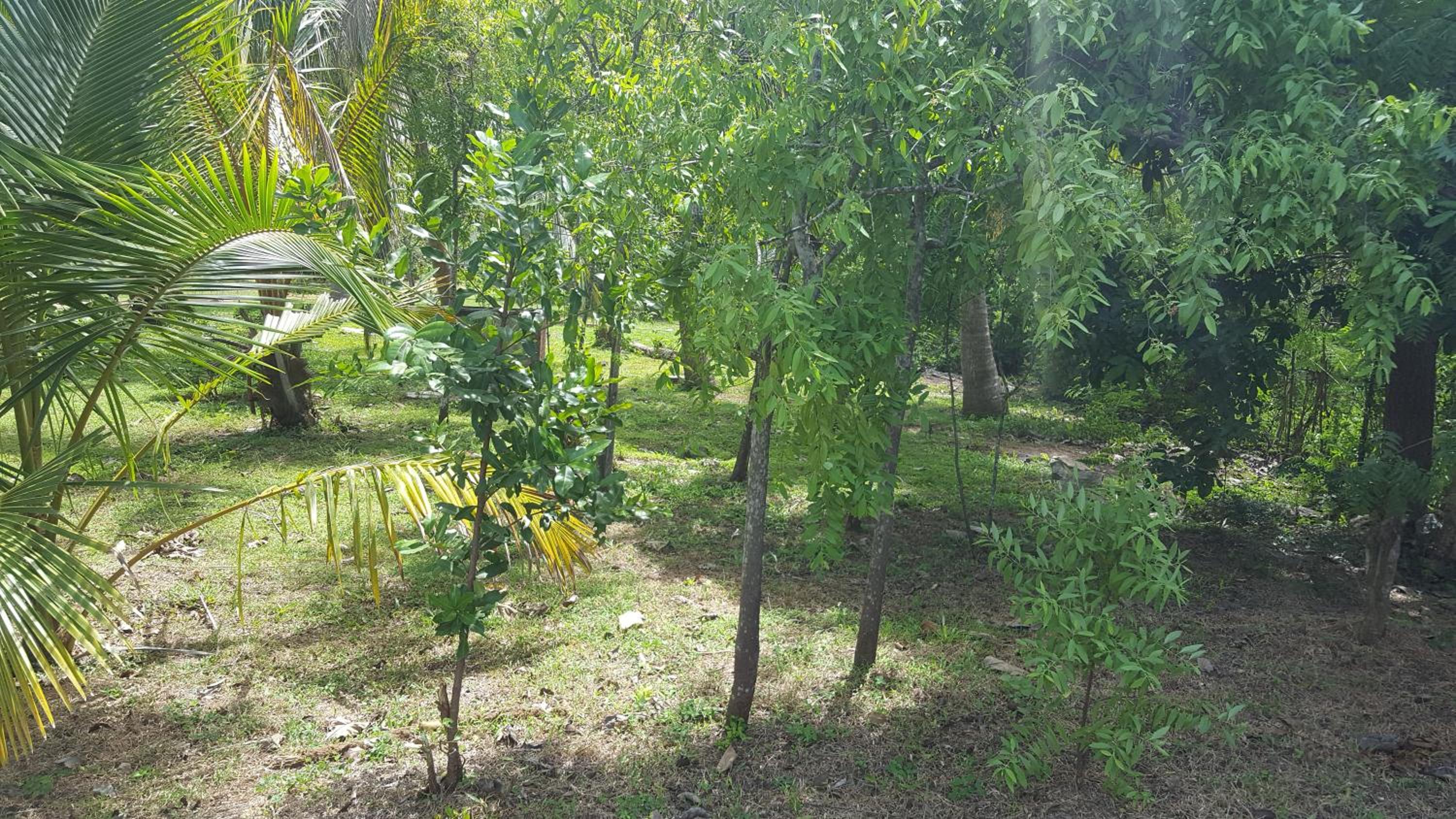 Photo 44