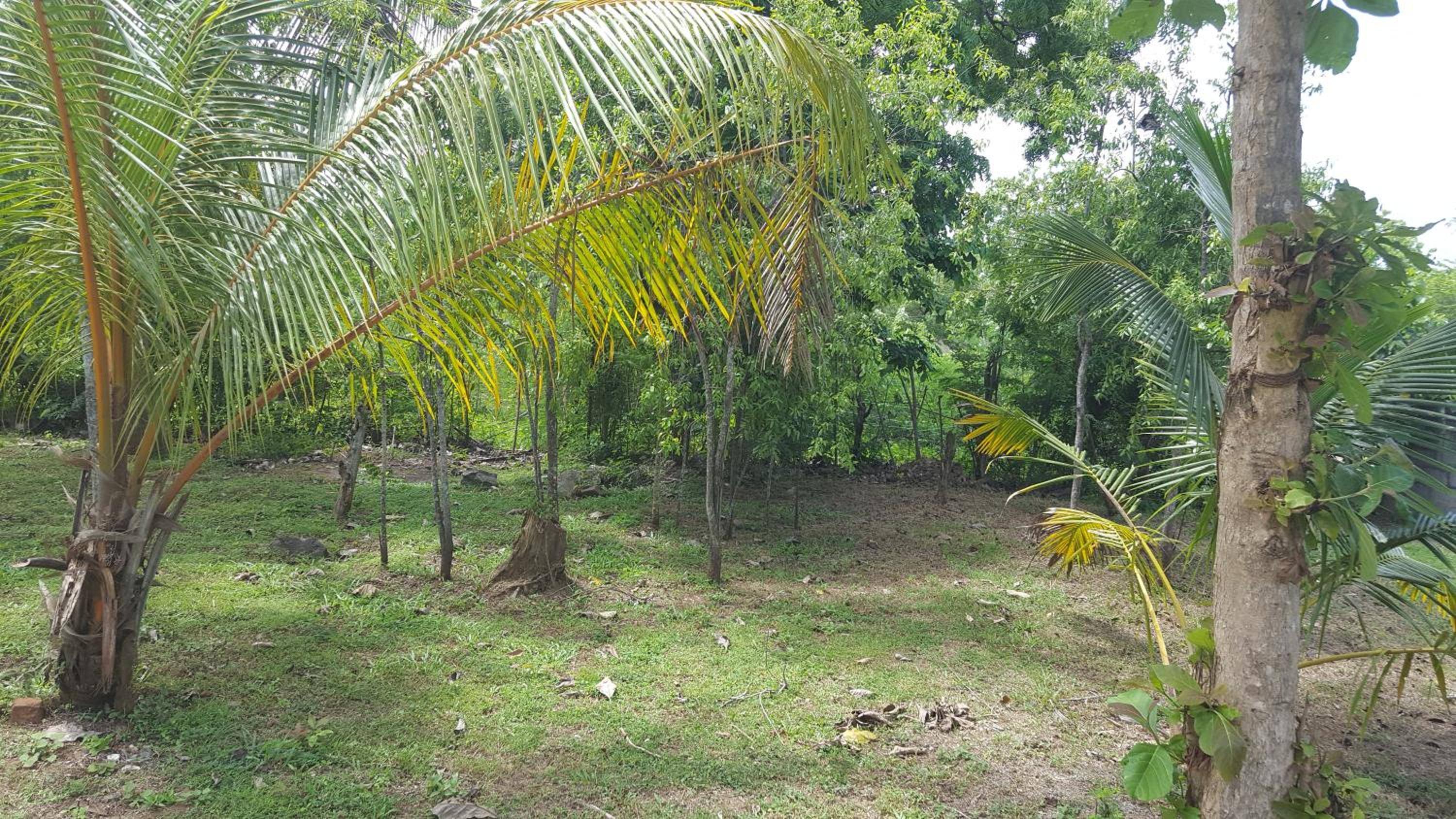 Photo 45
