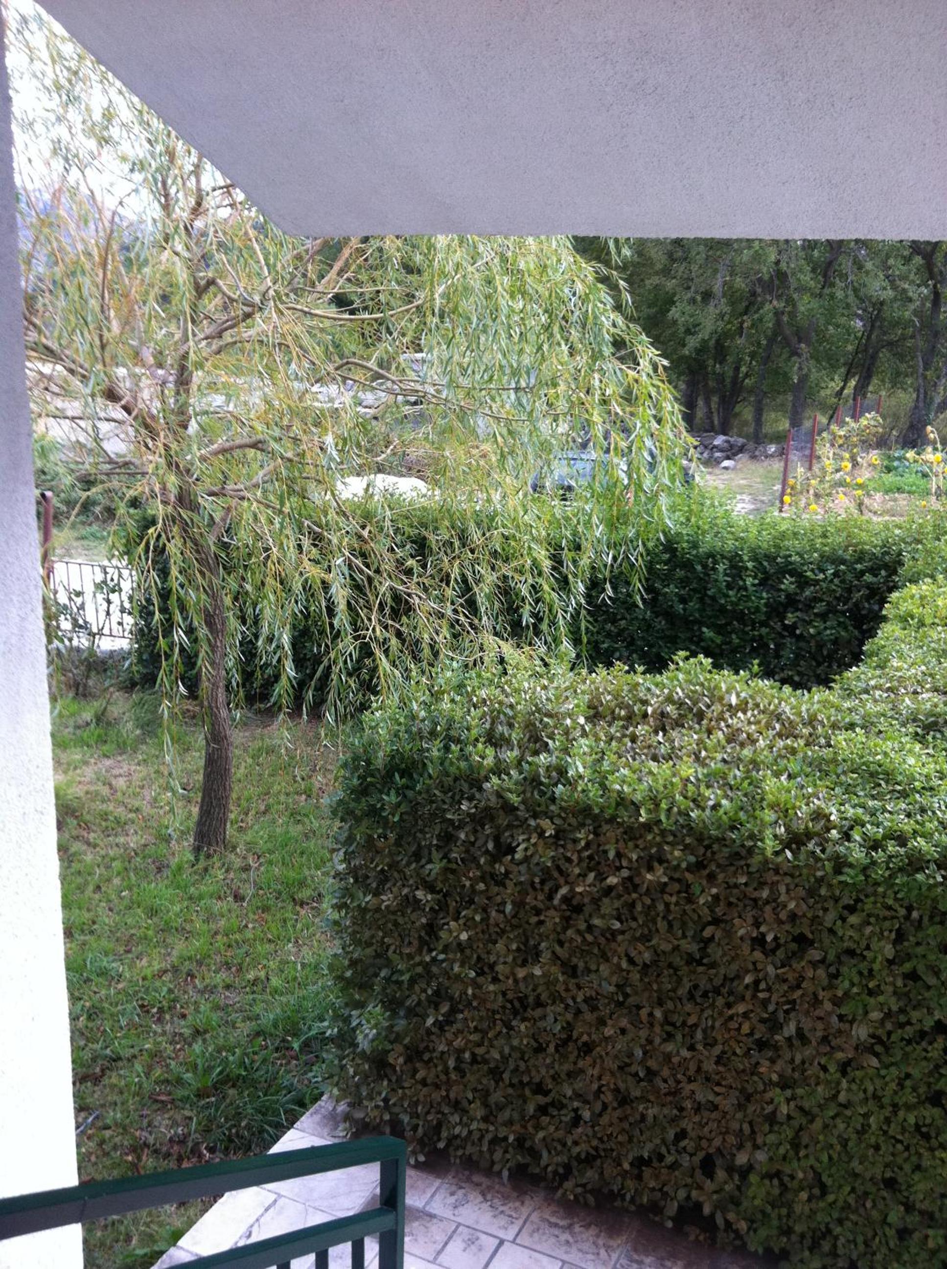 Photo 25