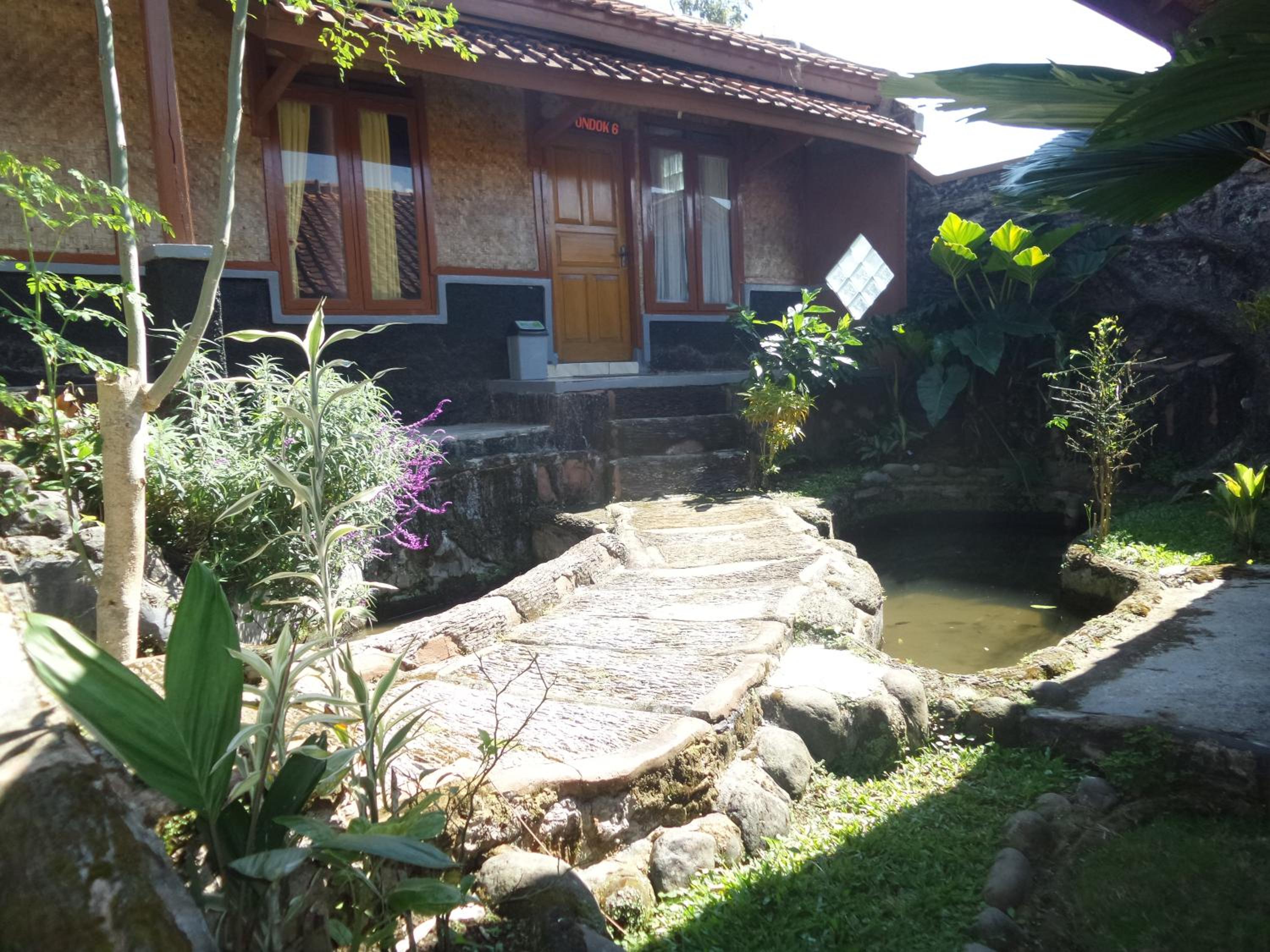Photo 16