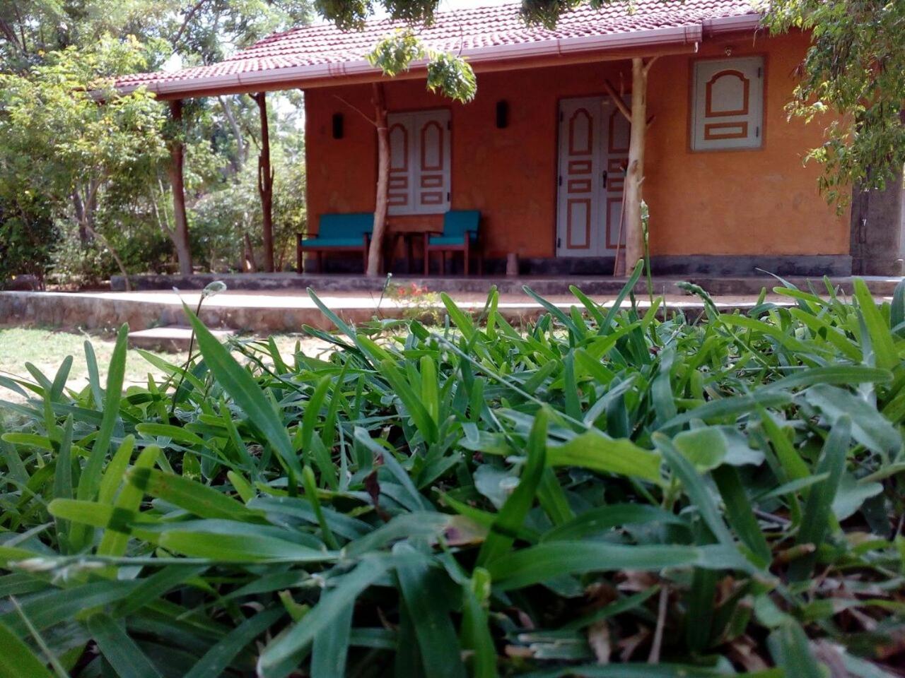 Photo 14