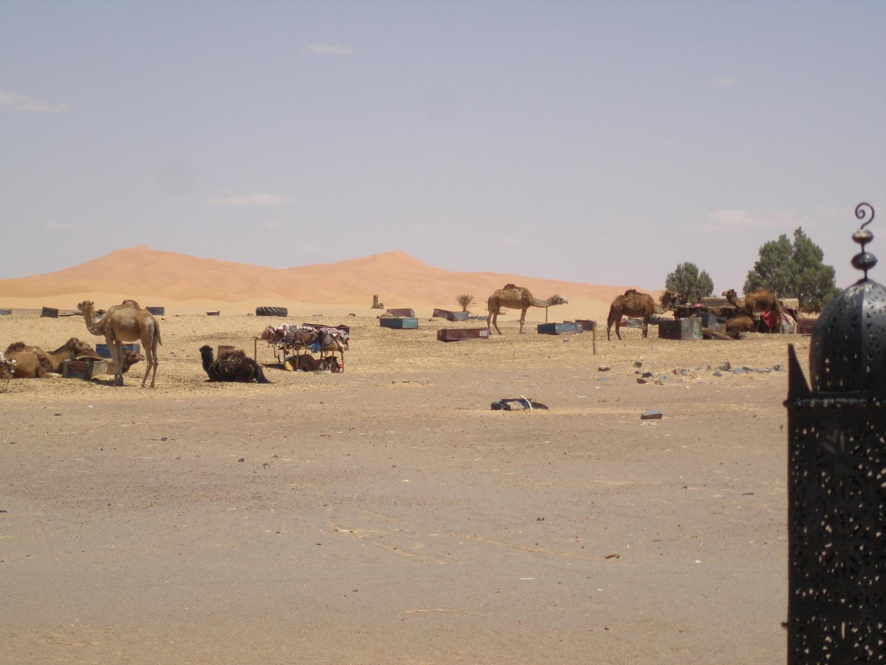 Gite Tamlli view 2