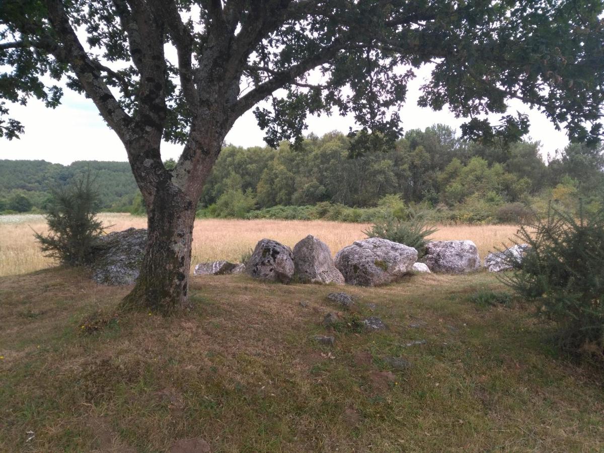 Photo 29