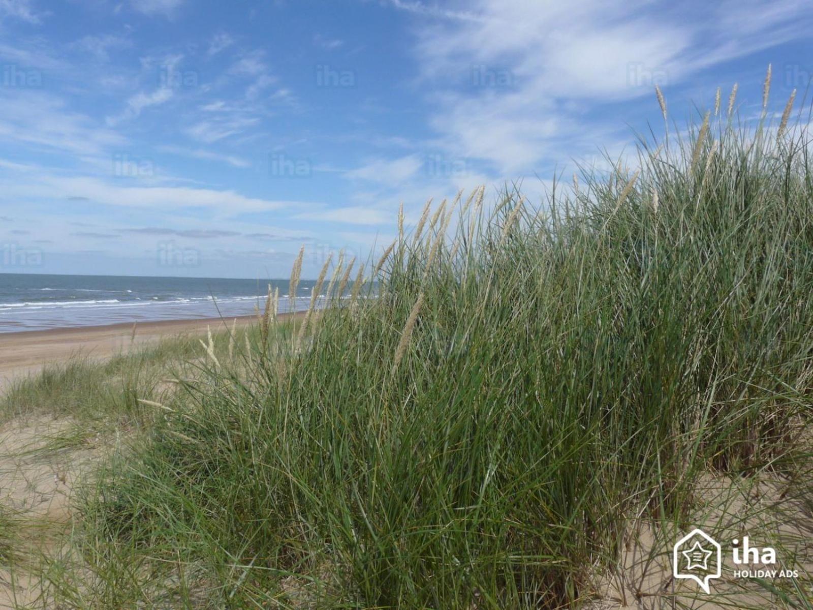 La Bohème Koksijde view 5