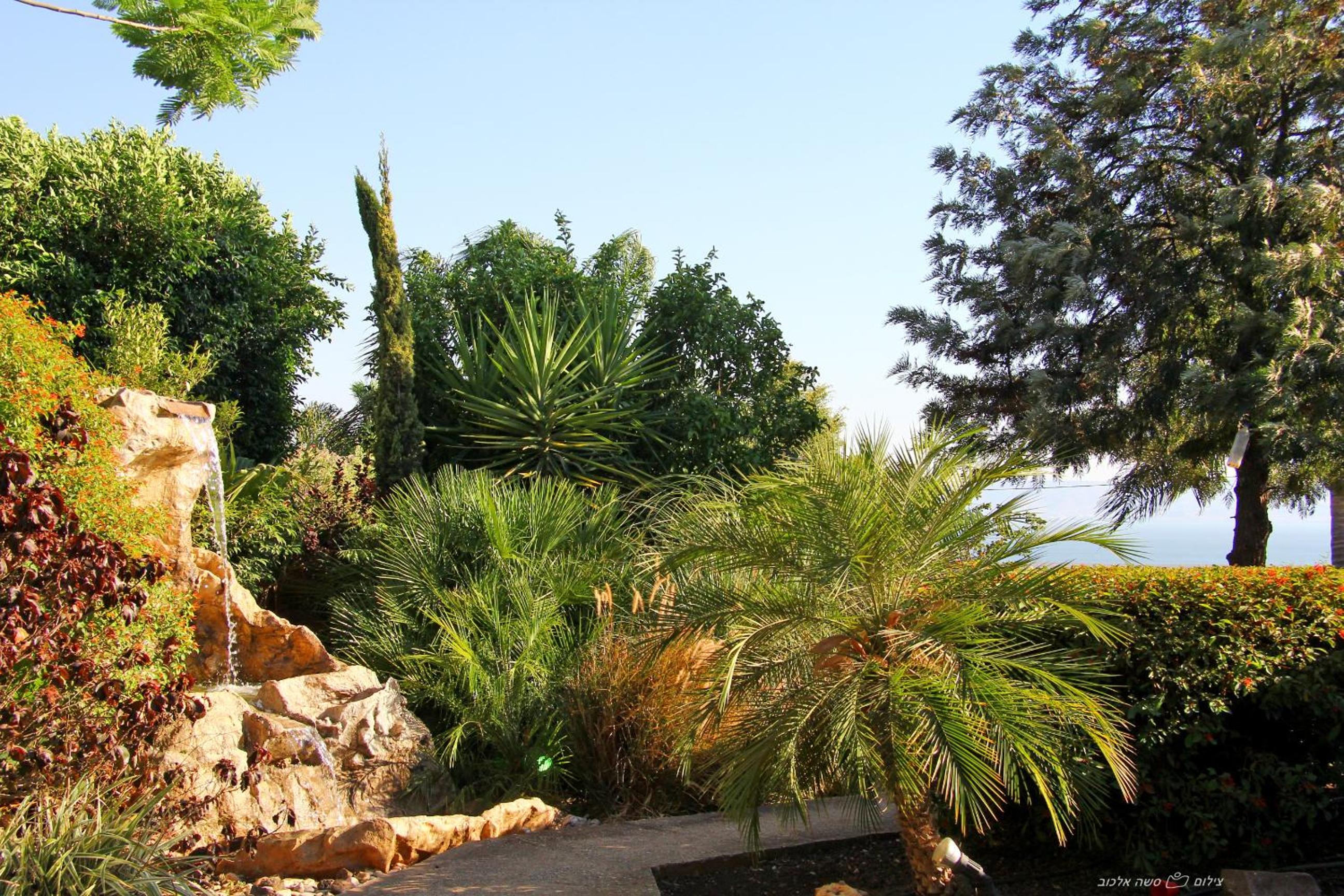 Photo 47