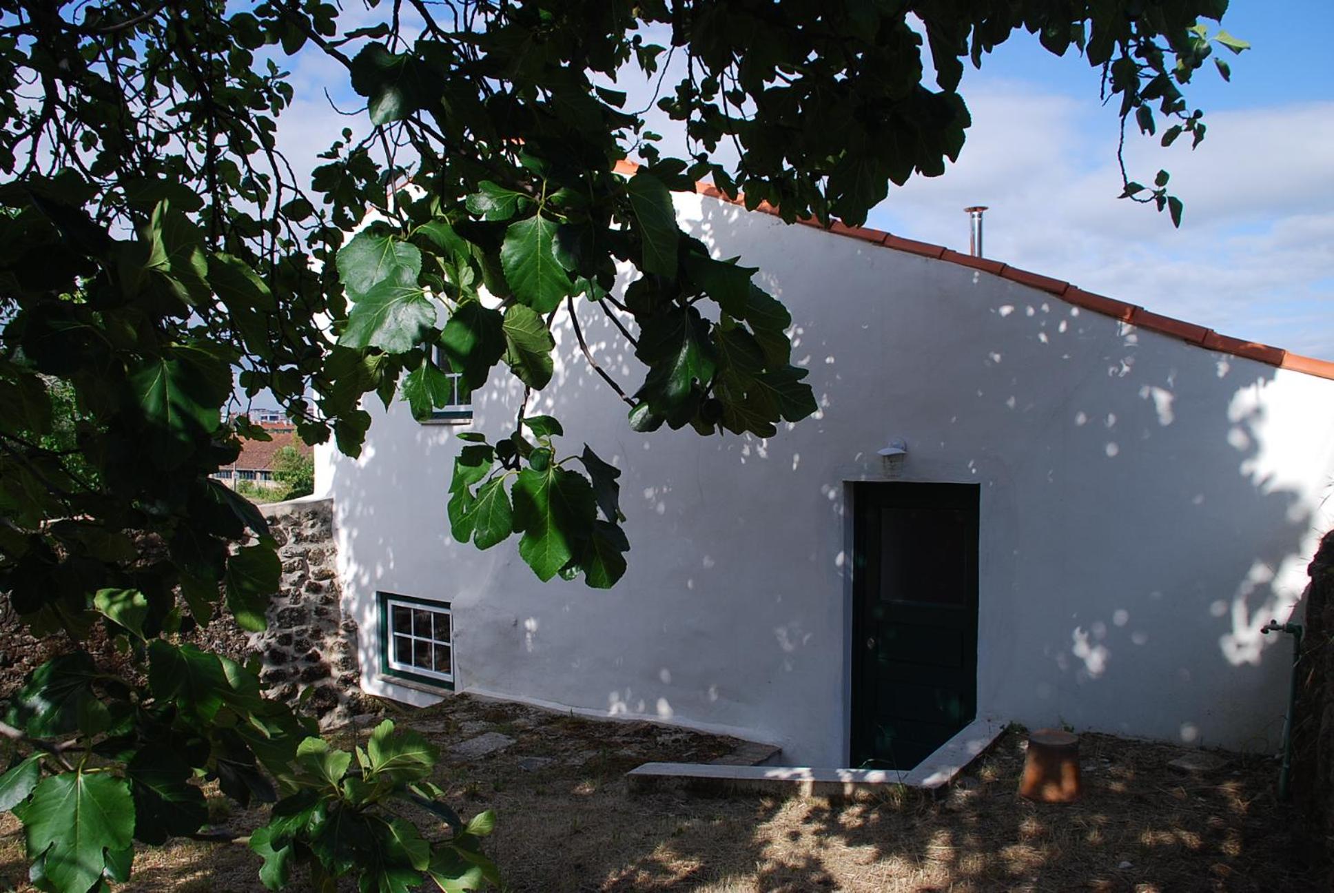 Photo 49