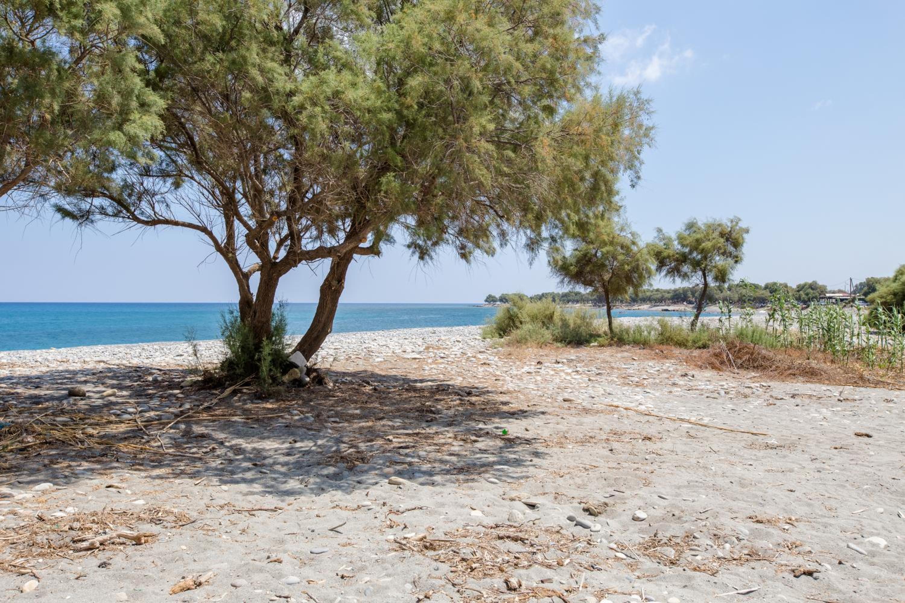 Aadonis traditional house on the Sea photo 4