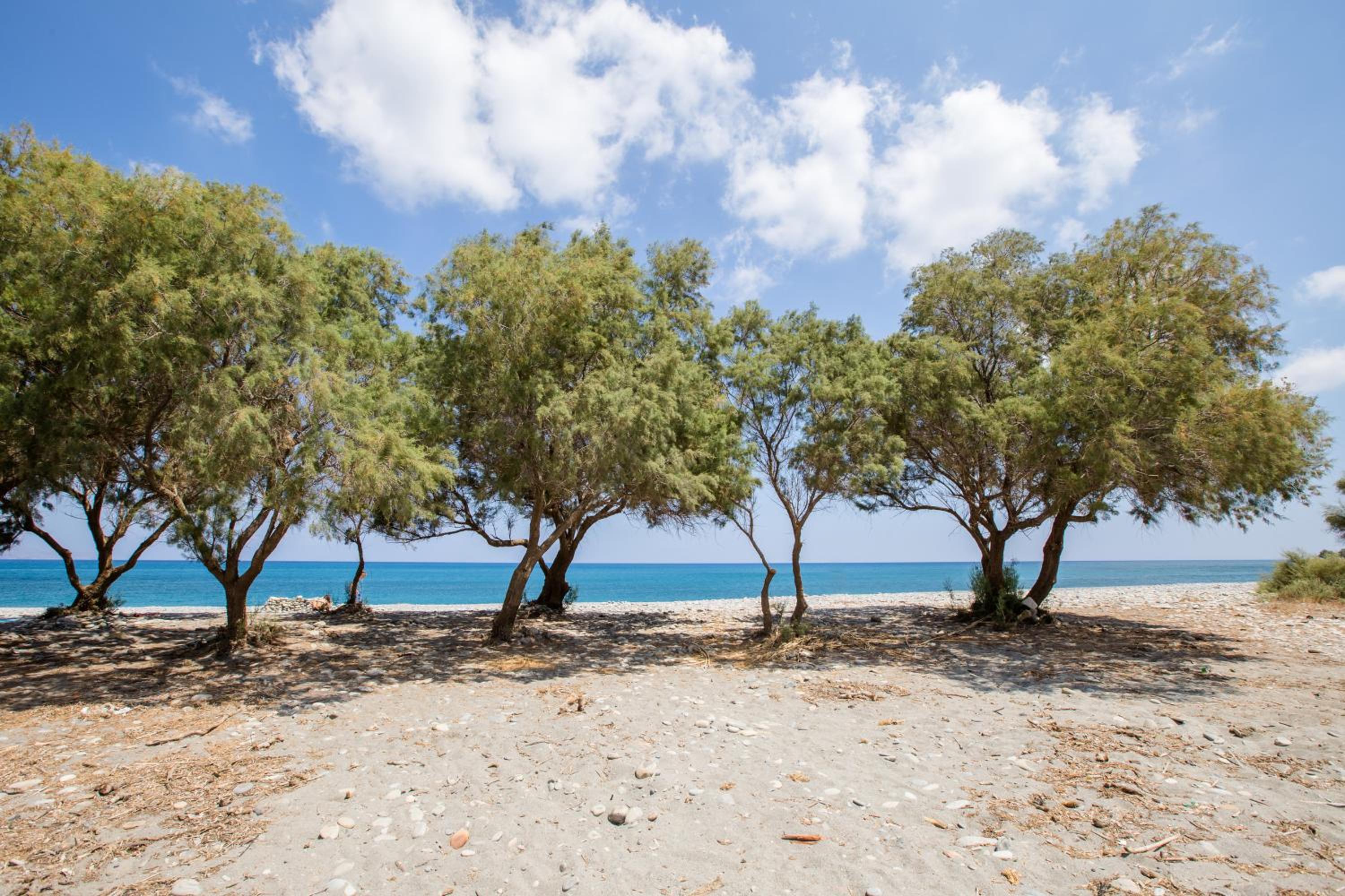 Aadonis traditional house on the Sea photo 5