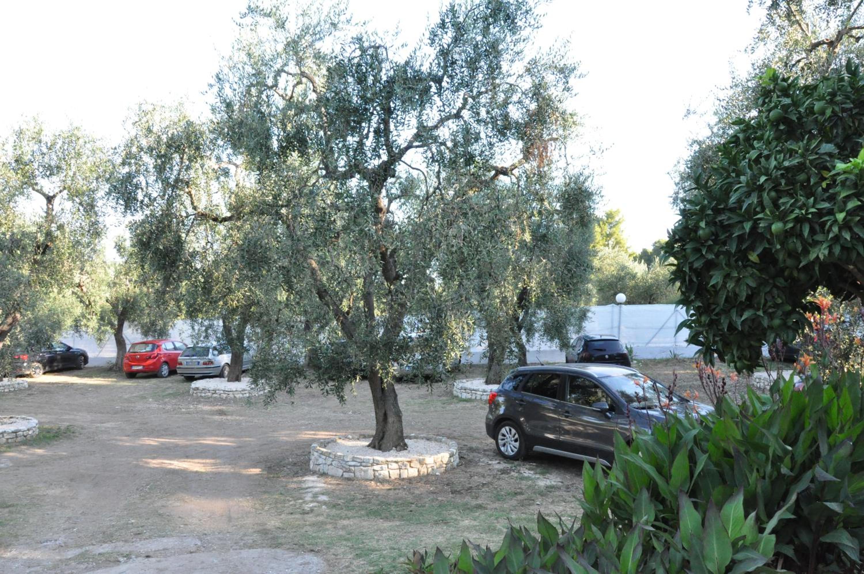 Villaggio Elisena
