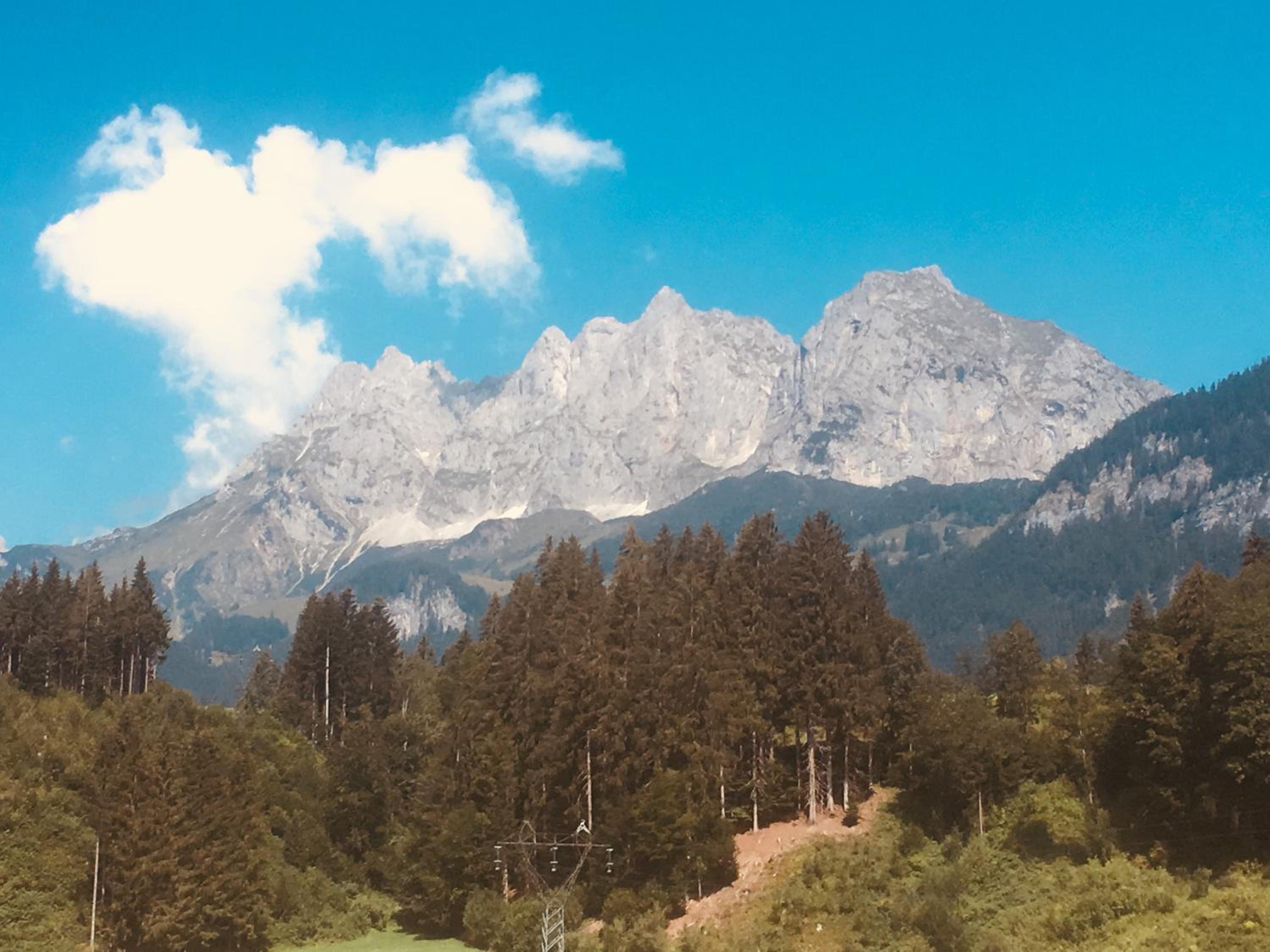 Beim Rohrer