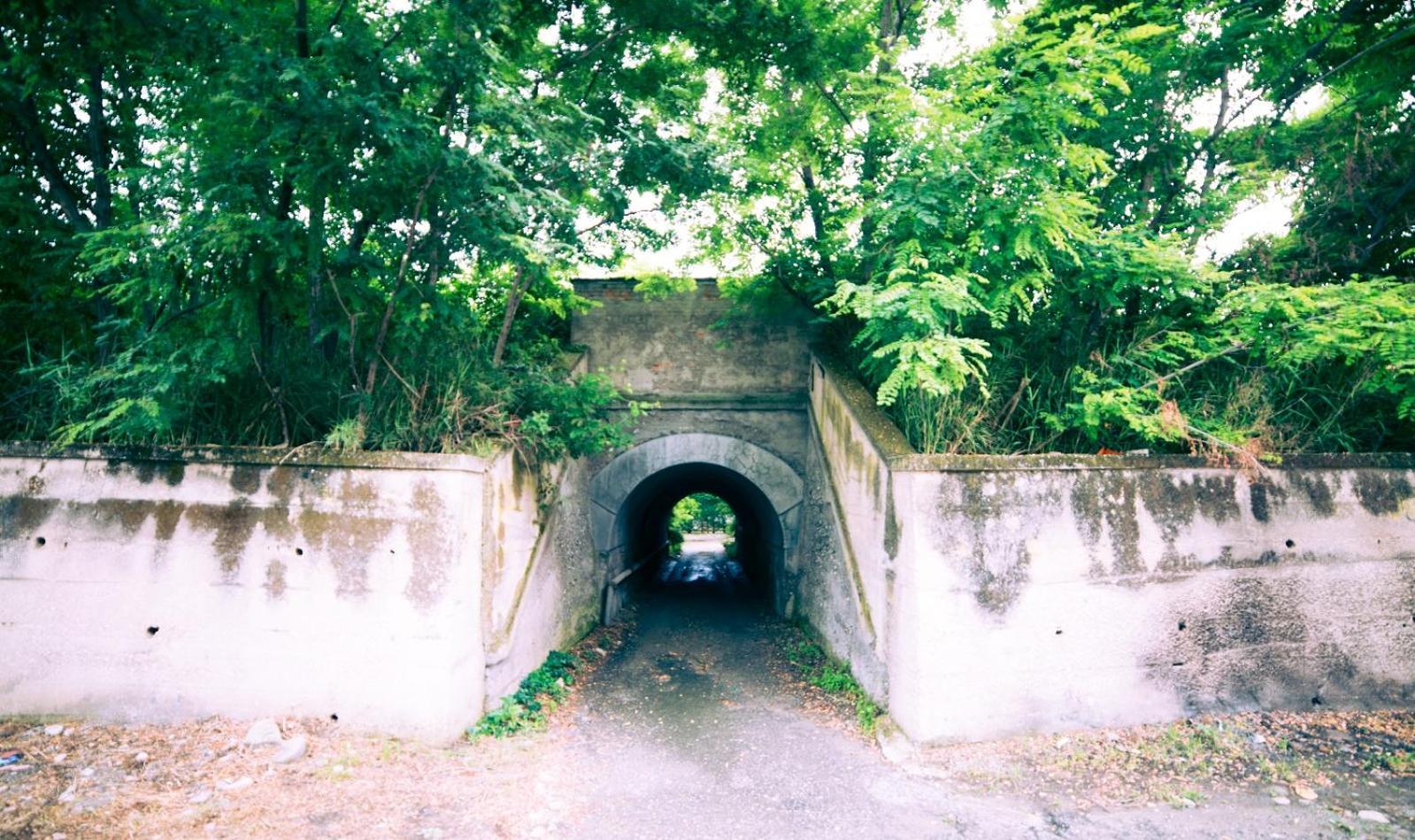 Photo 40