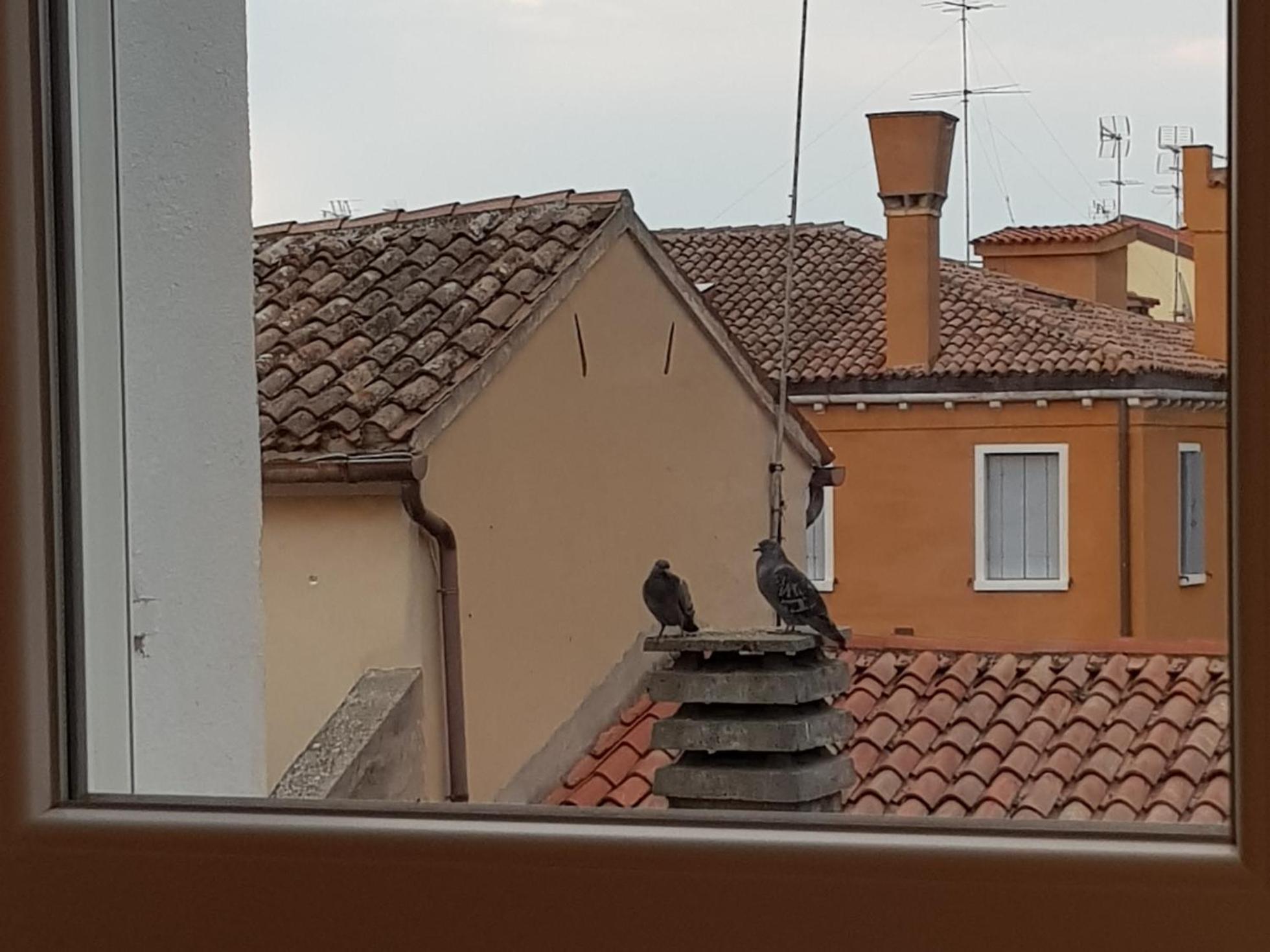 Ca' dell'Angelo, photo 75