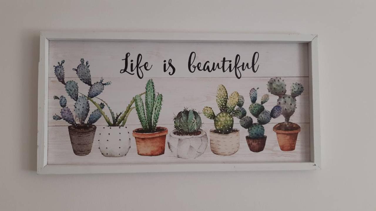 Apartman Katedrala